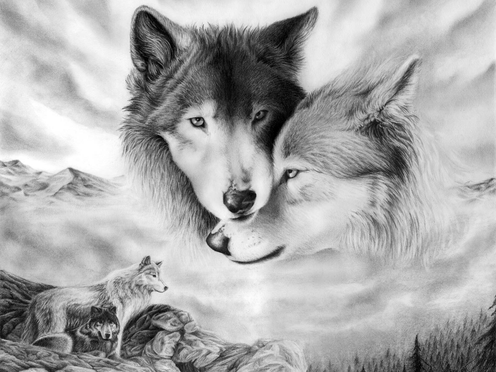 рисунок волки пара нежность любовь взгляд