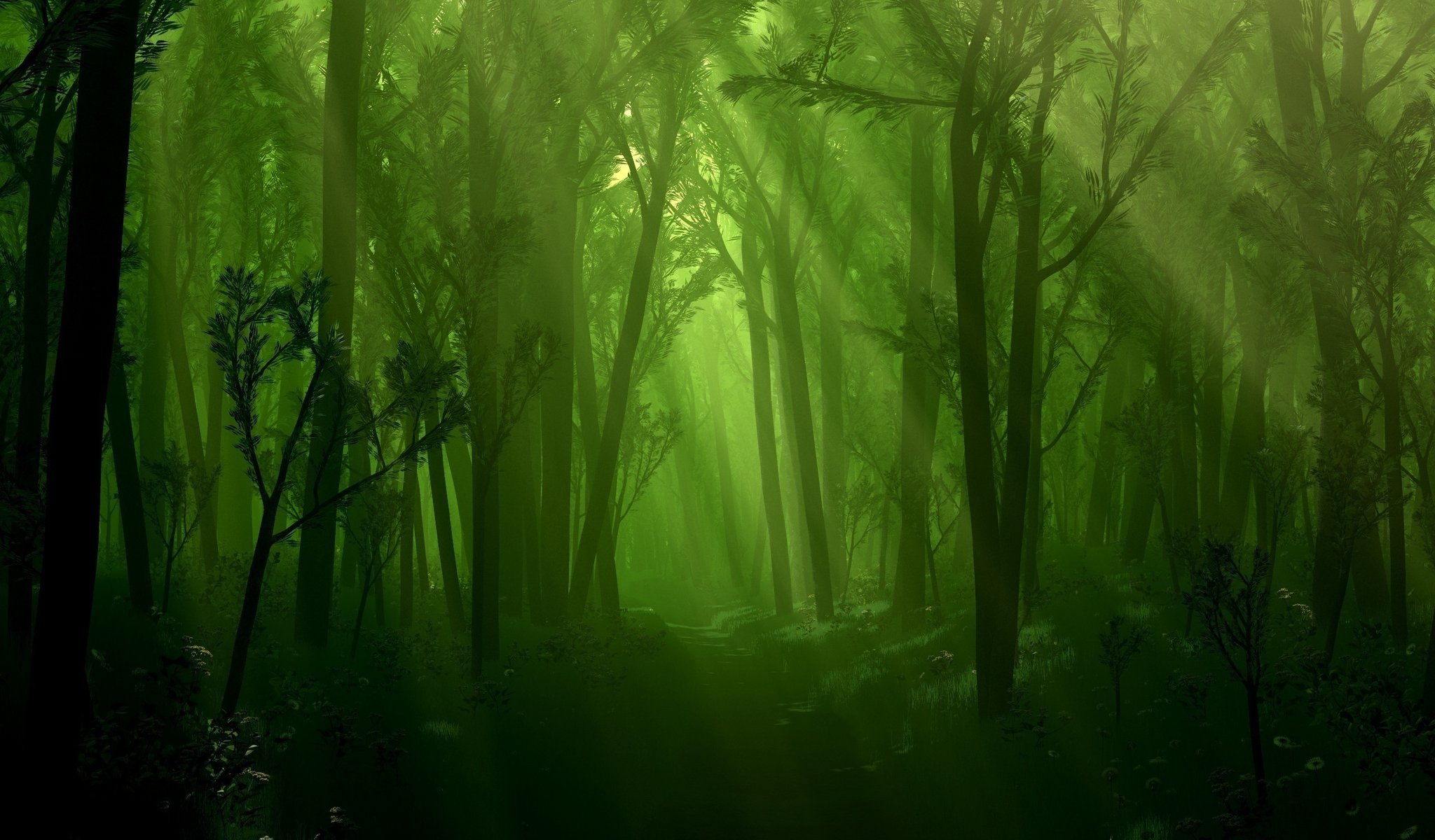 Атмосферный зелёный лес с тухлым светом