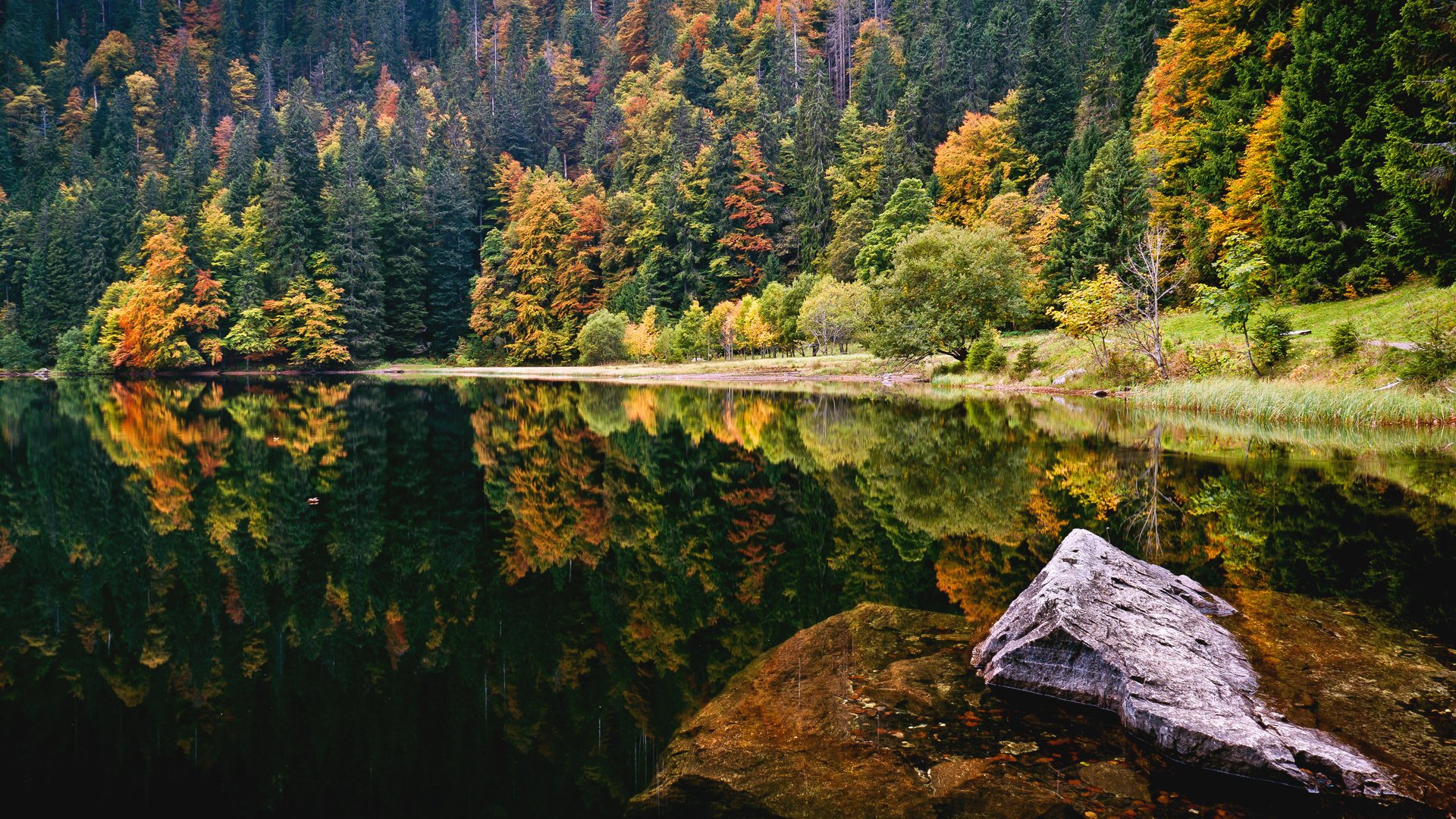 Зеркальное отражение осеннего леса в озере