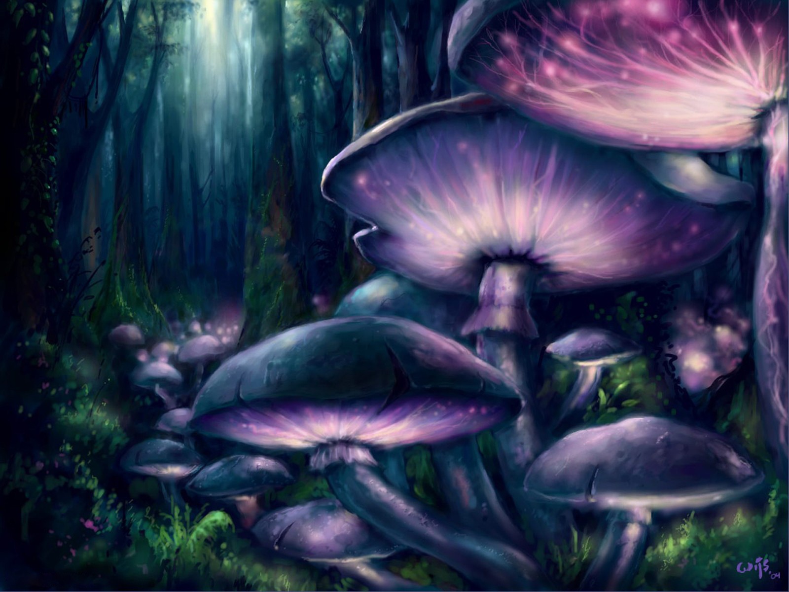 волшебные грибы картинки