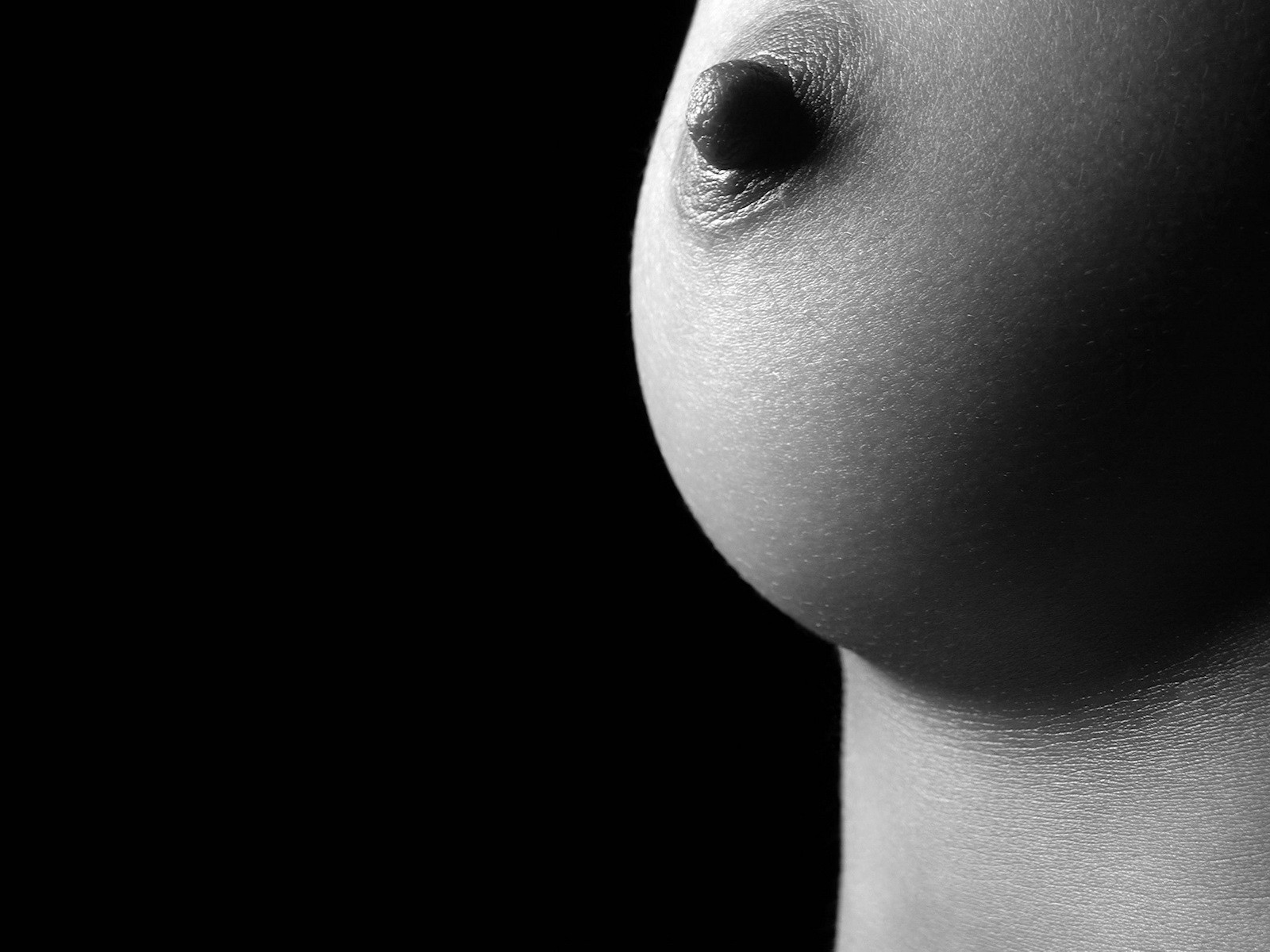 черно белые картинки женской груди фото 66