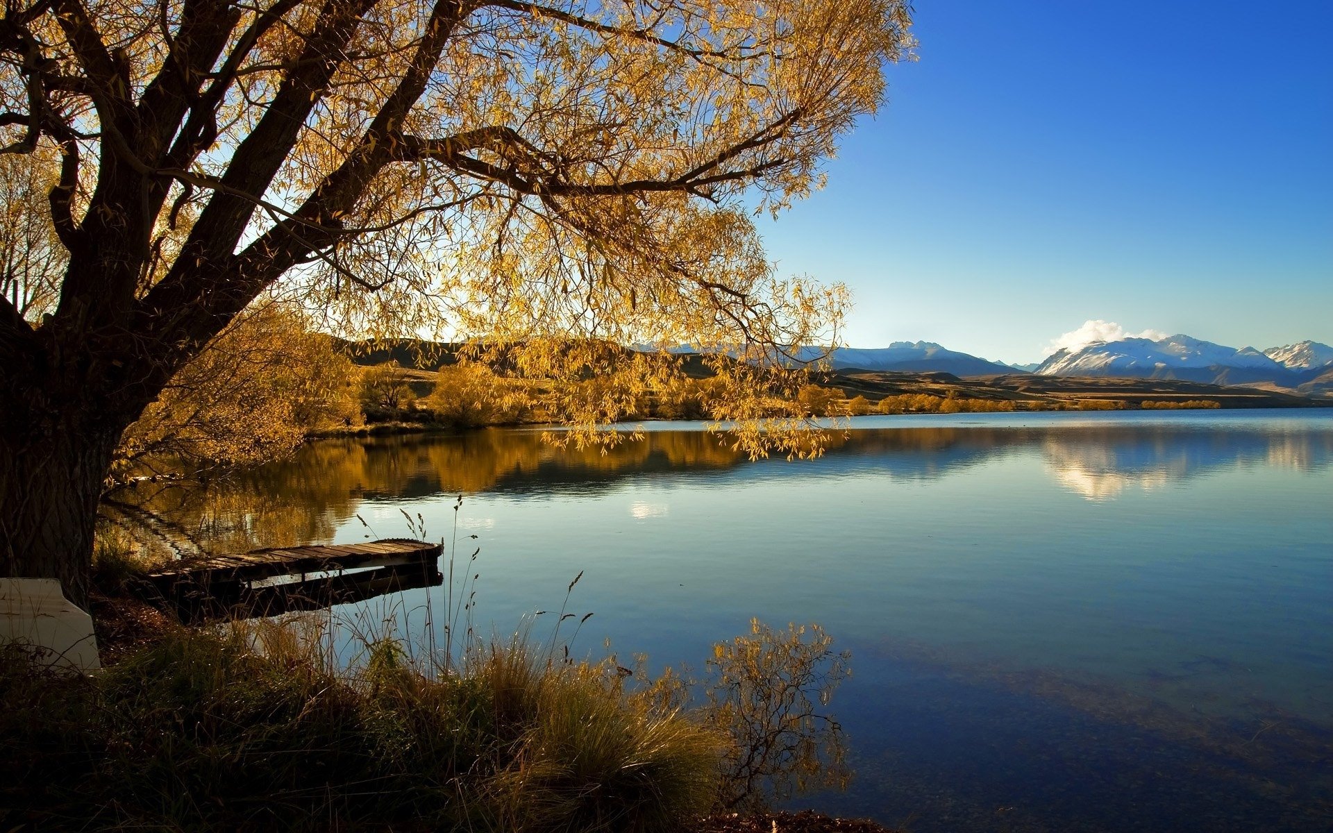 Красивые обои на телефон природа. Озеро Джалкинское. Александрина – озеро озеро. Озеро лох ломонд. Новая Зеландия осень.