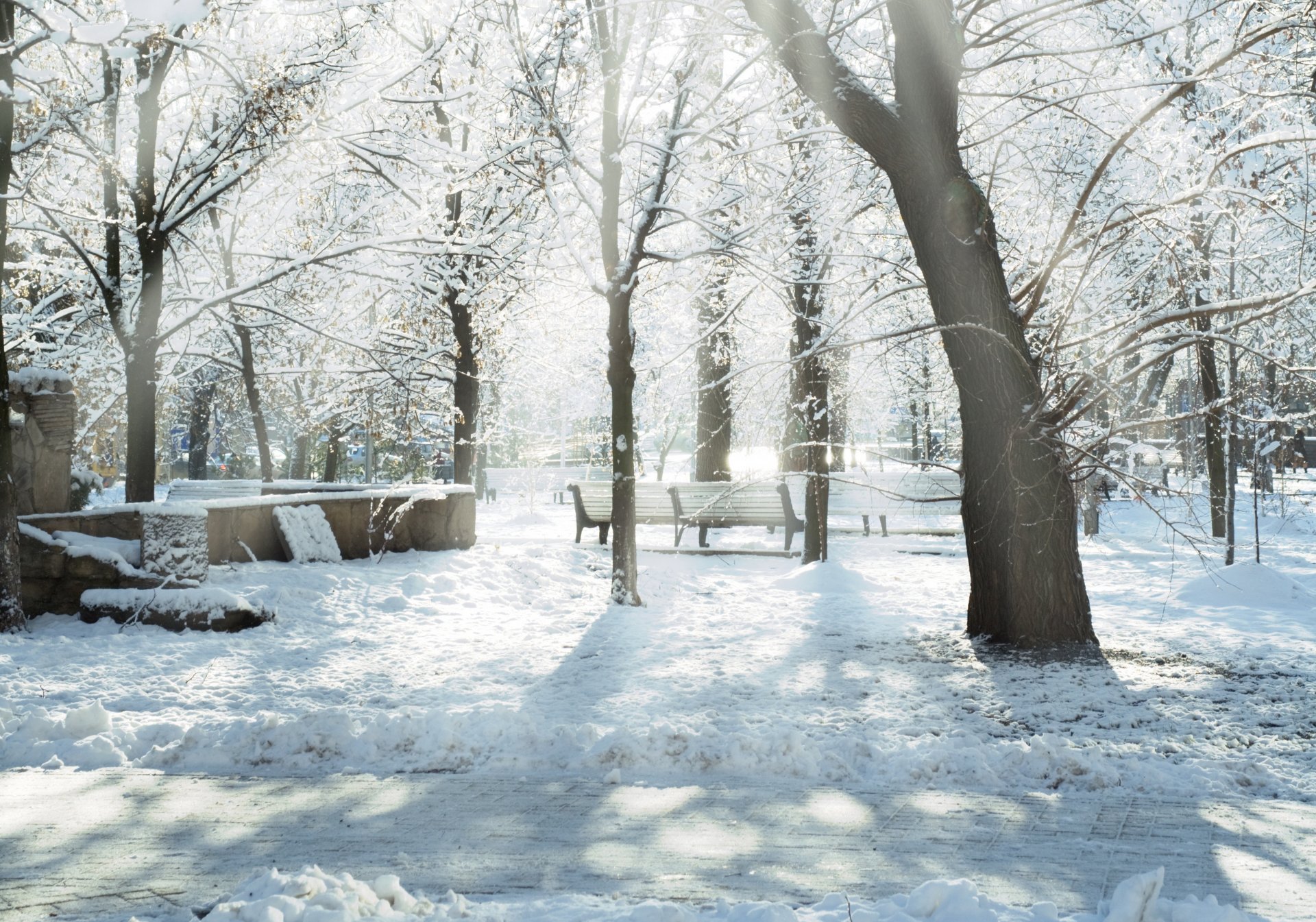 снег деревья зима парк дервья скамейки снег лучи солнце