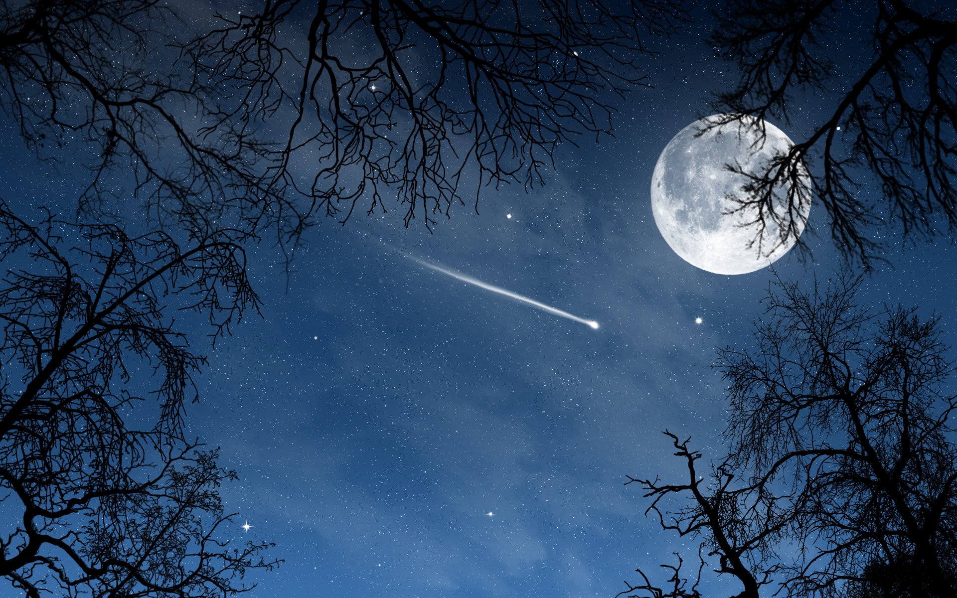 пейзаж ночь луна небо деревья вид звезды месяц природа