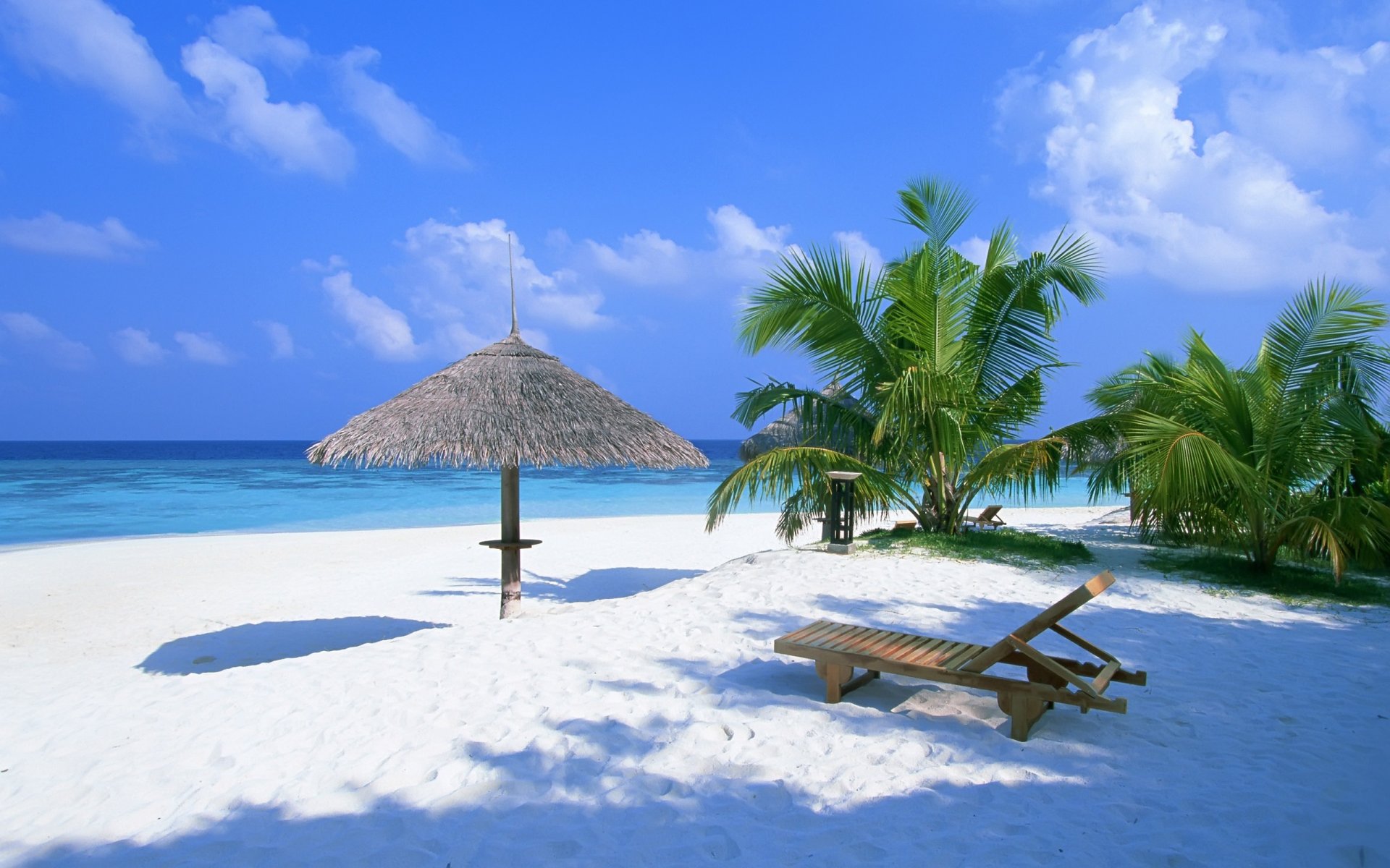 пальмы песок пляж багамы навес лето шезлонг океан