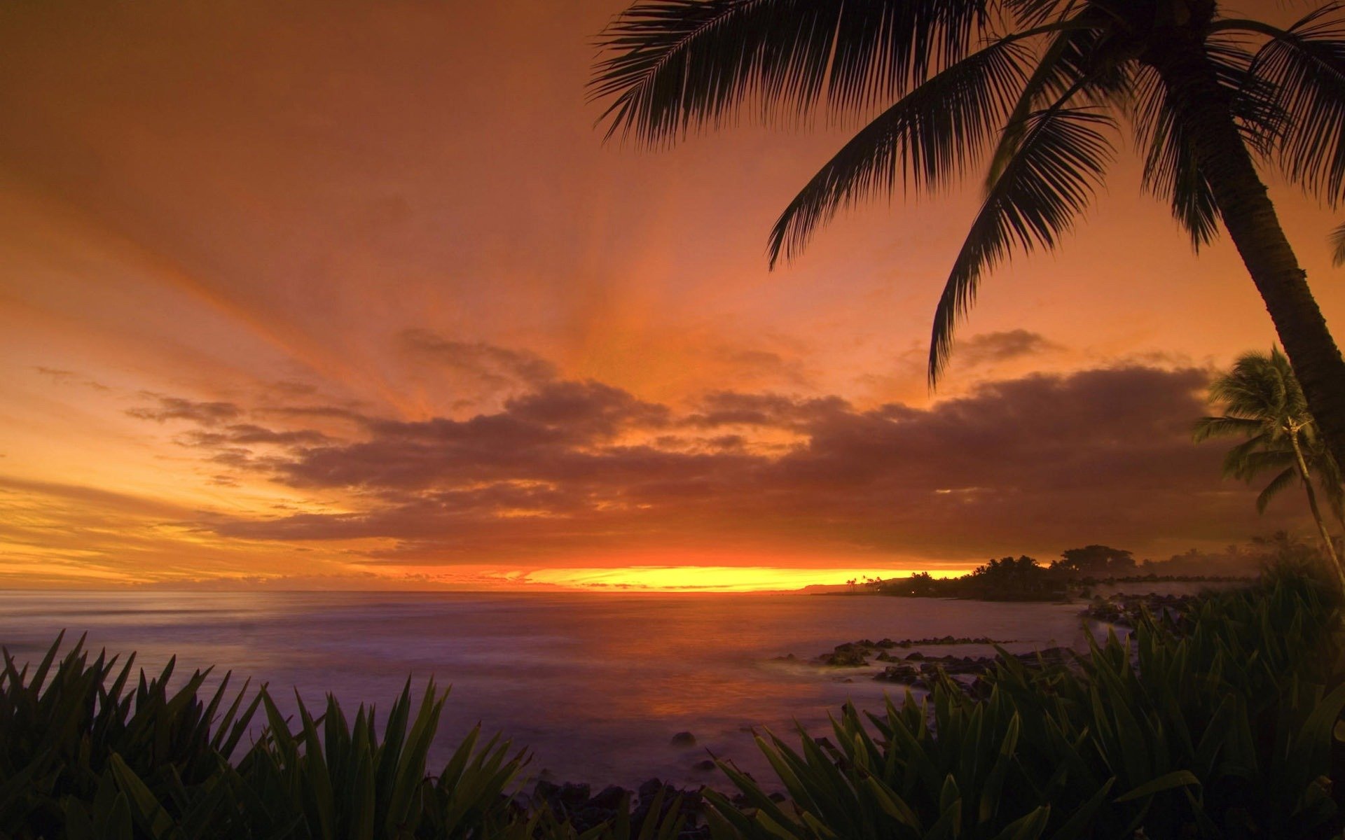 Огни побережья Гавайи без смс