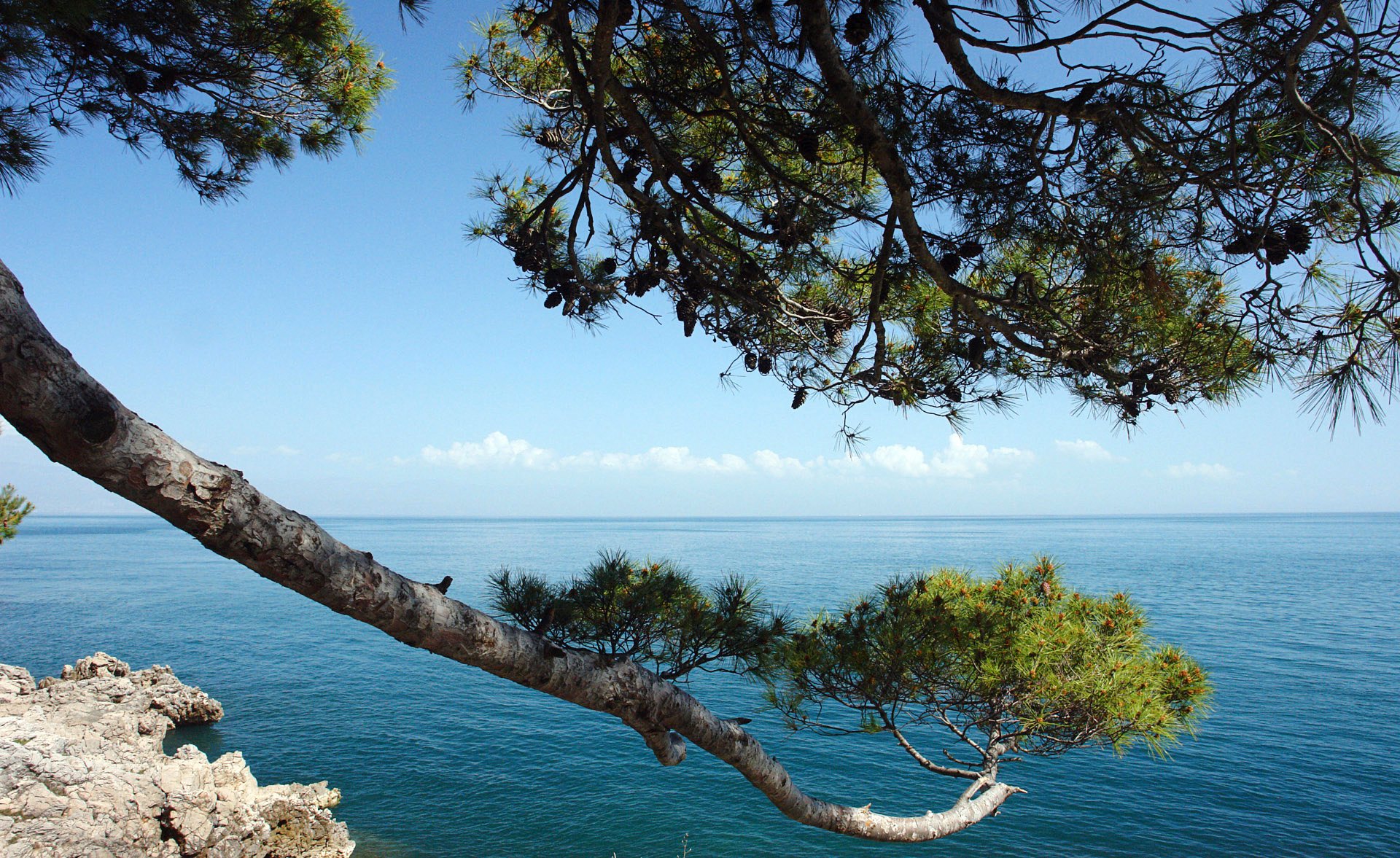 природа камень море деревья Брела Хорватия скачать