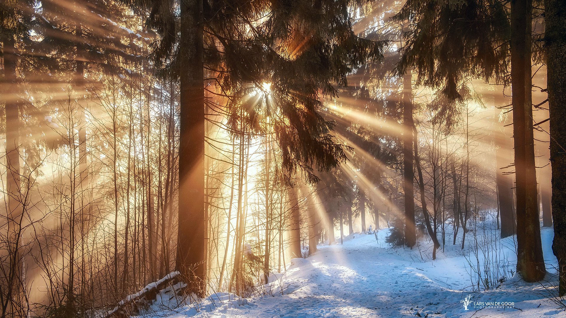 Утро природа февраль. Зима солнце. Зимний лес солнце. Солнечные лучи зимой. Солнечное зимнее утро.