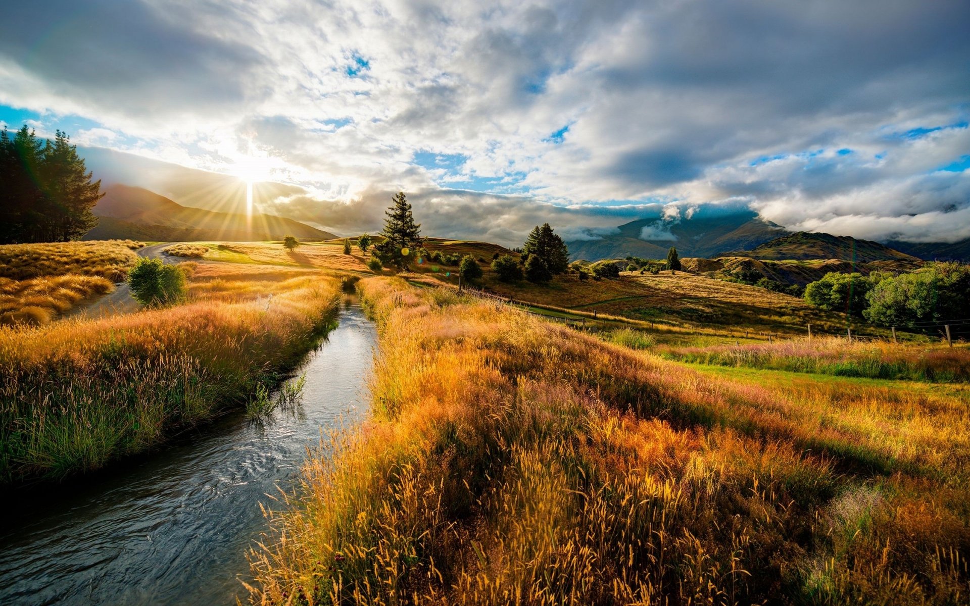 Река трава природа небо Новая Зеландия без смс
