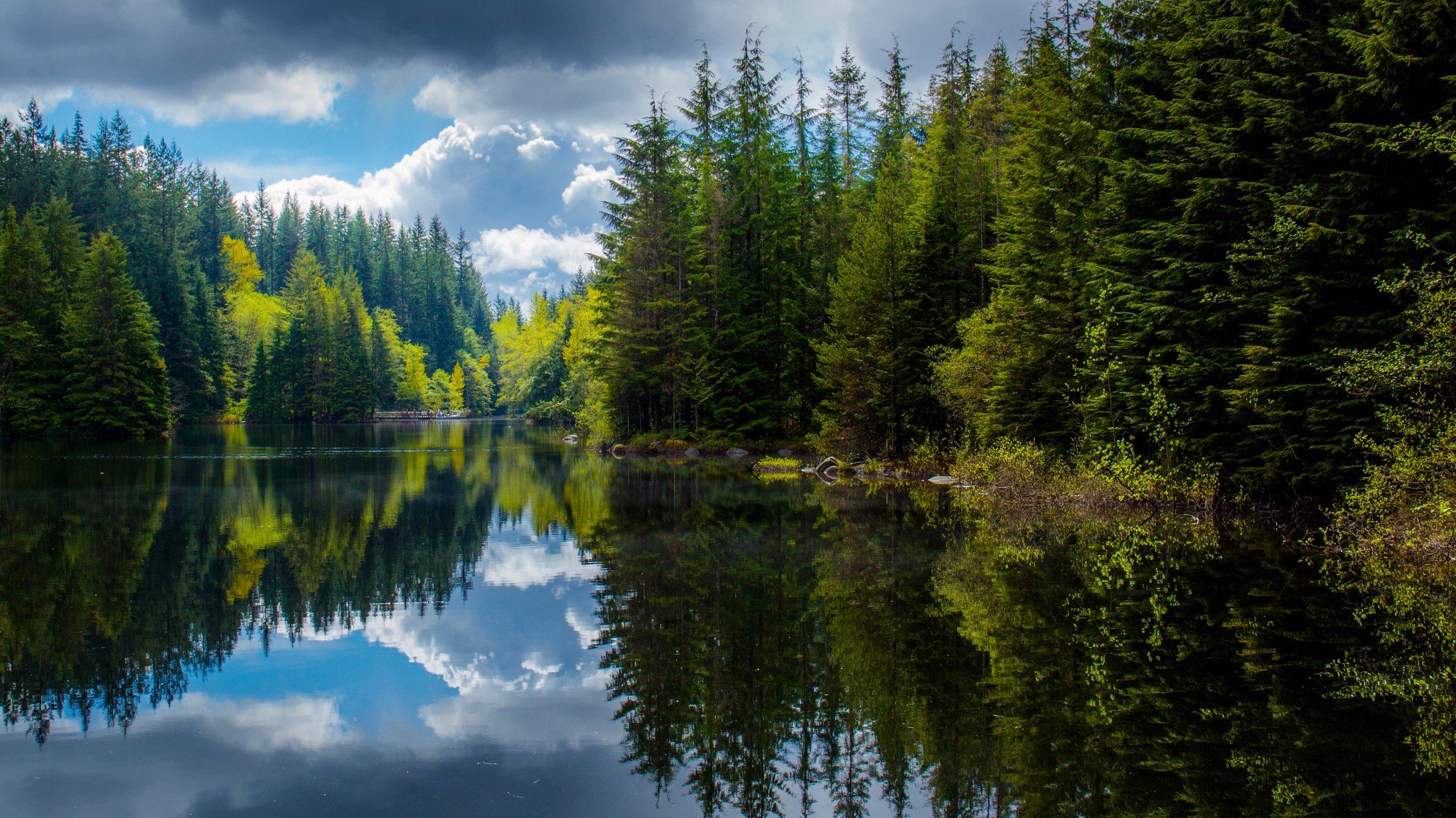 Хвойное озеро. Британская Колумбия лес. Лесное (озеро, Северная Америка). Лесное озеро (Forest Lake).