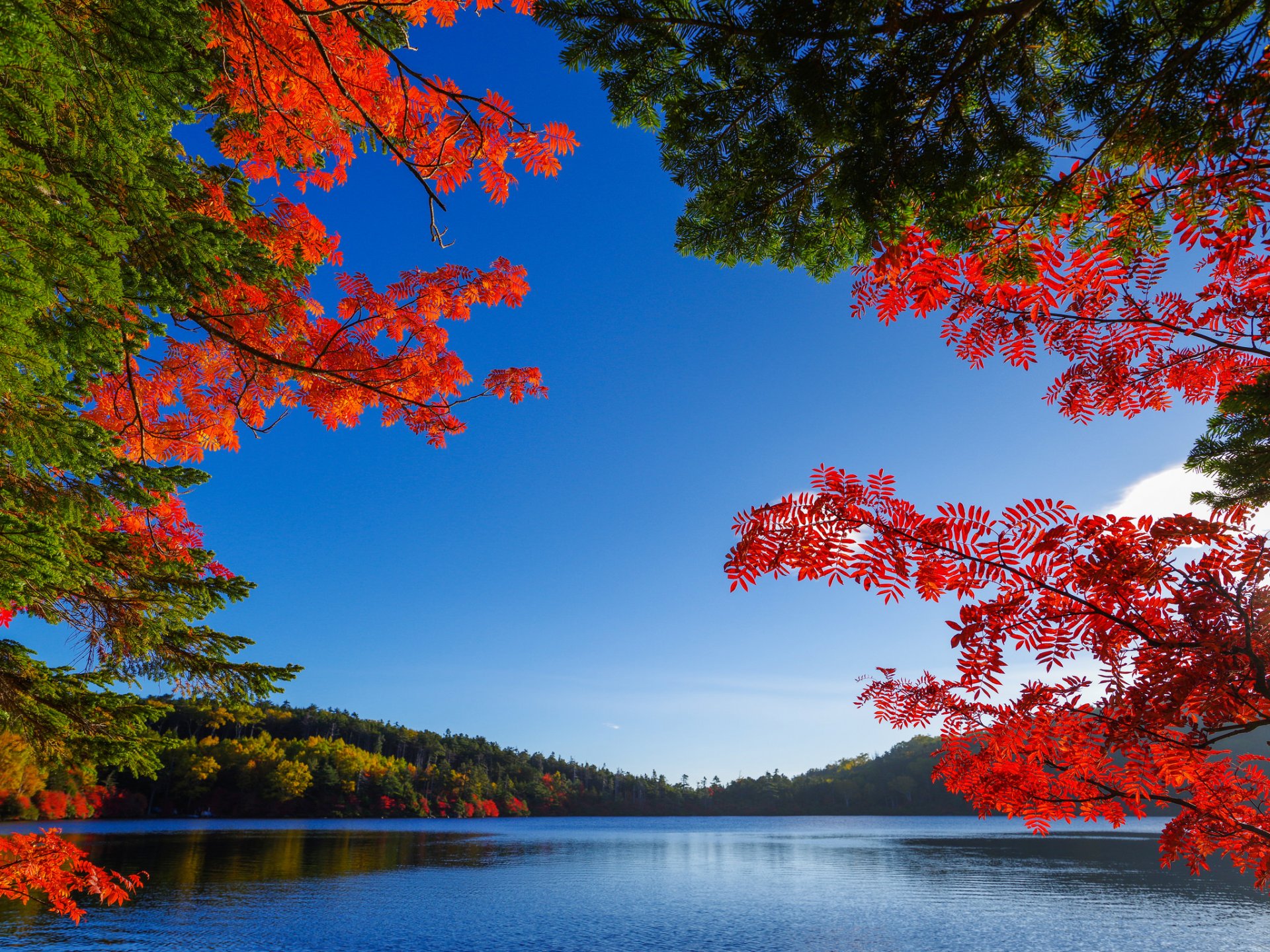 небо озеро деревья листья осень багрянец