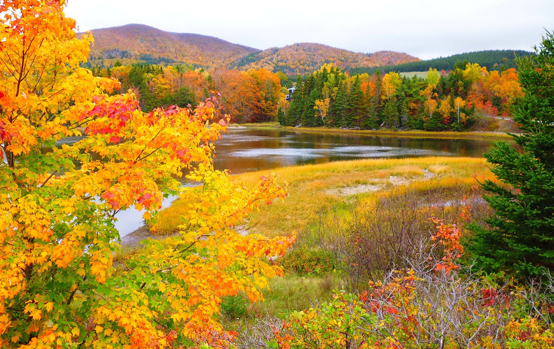 Осень картинки. Осенняя природа. Природа осень. Природа осенью. Золотая осень.