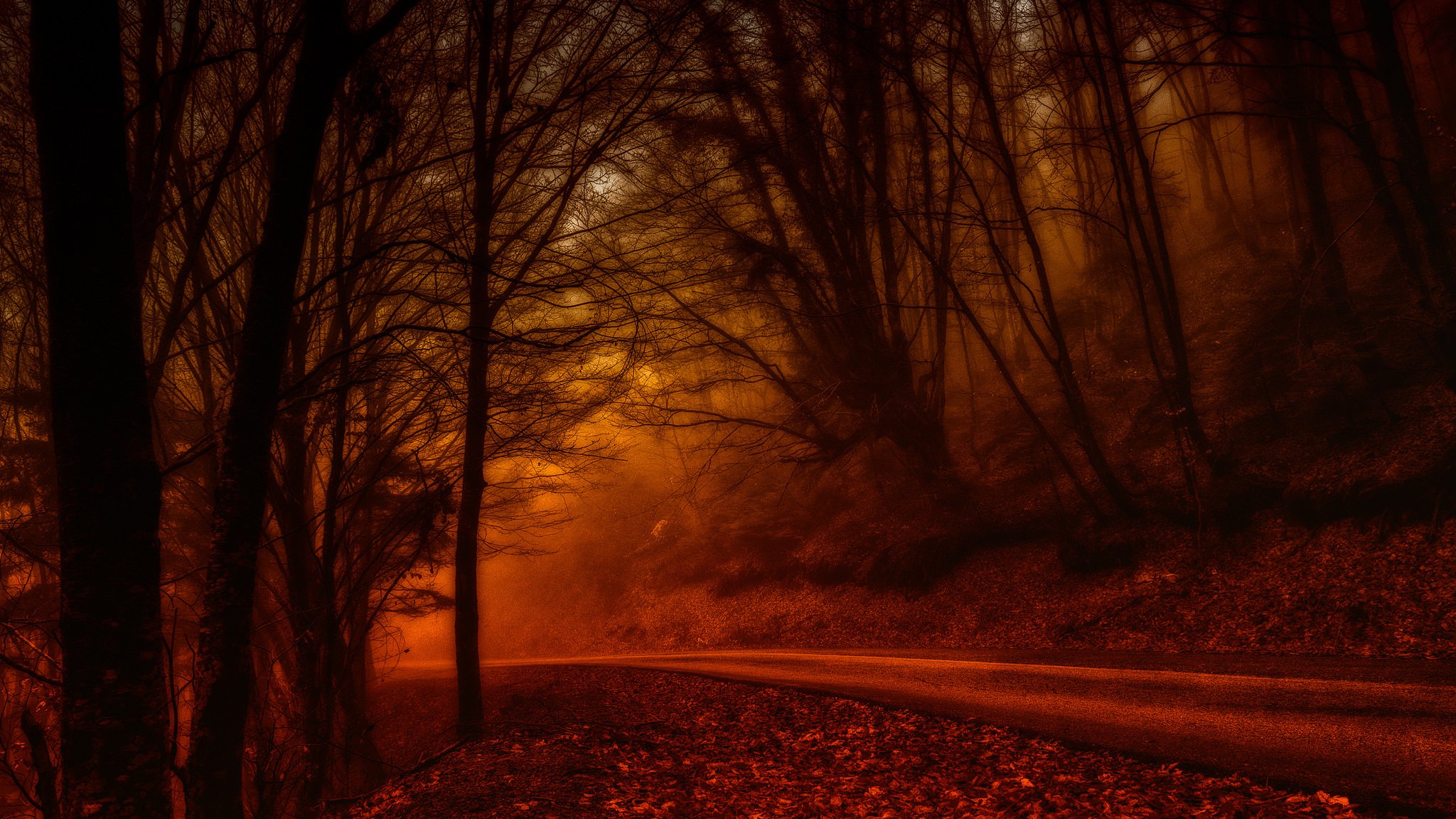 Мрачная Осень Фото