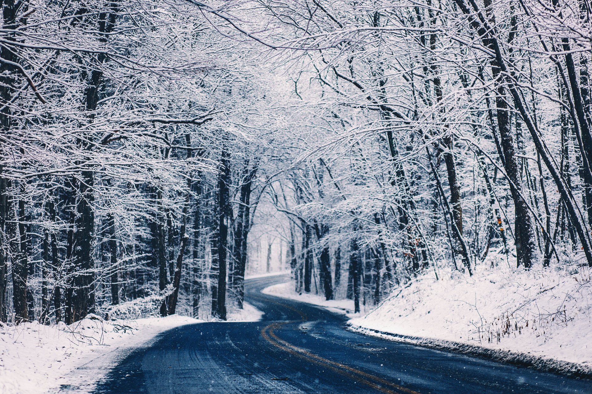 Зимний пейзаж дорога