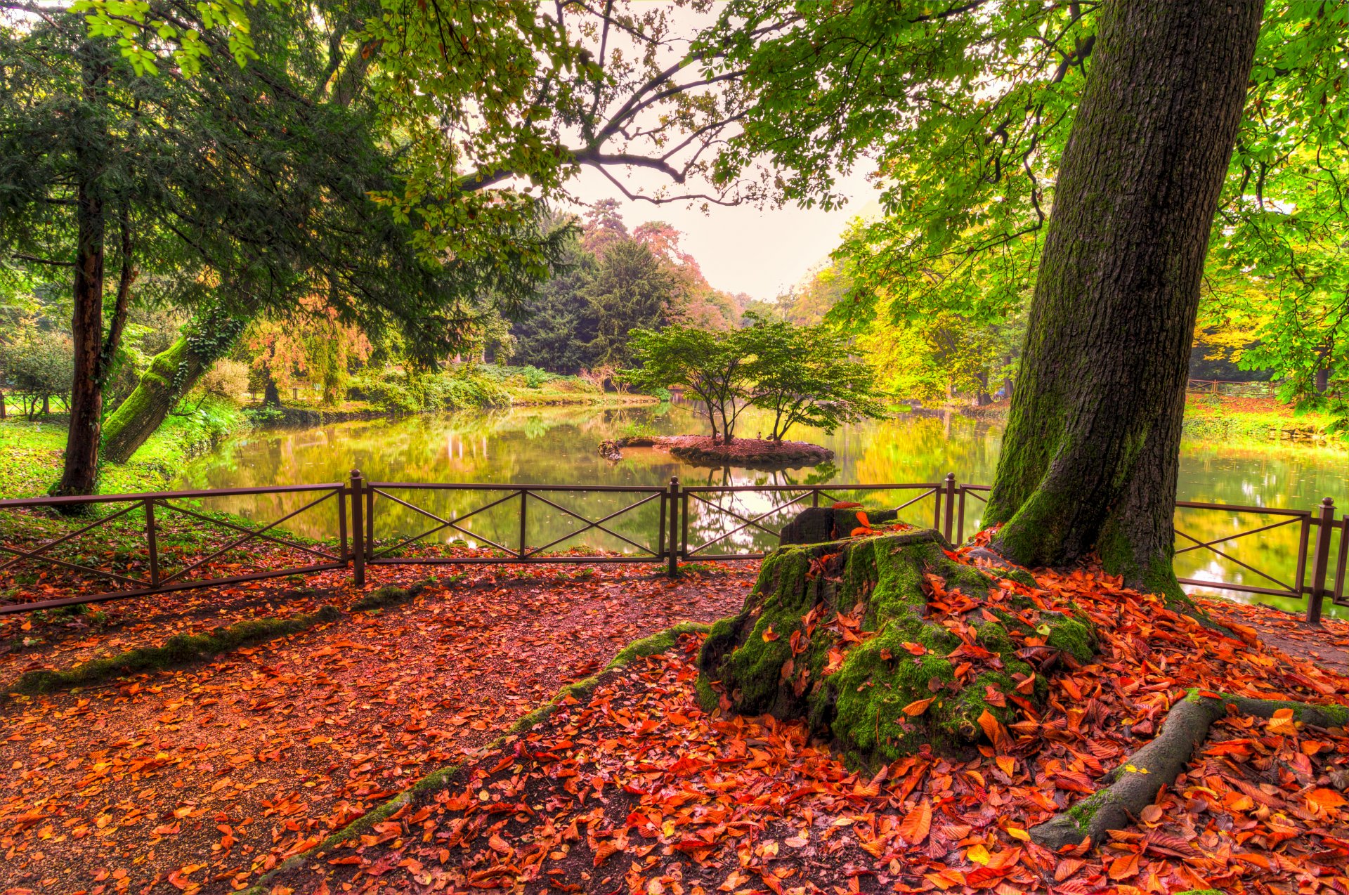 Осень речка парк загрузить