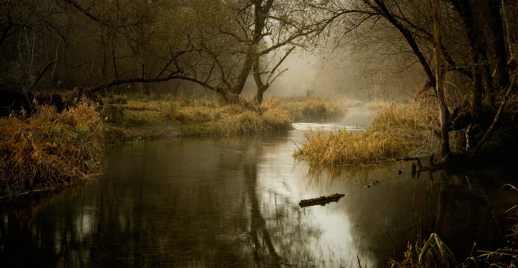 Река пасмурная. Поздняя осень река. Река осенью. Пасмурная осень. Речка в лесу осенью.