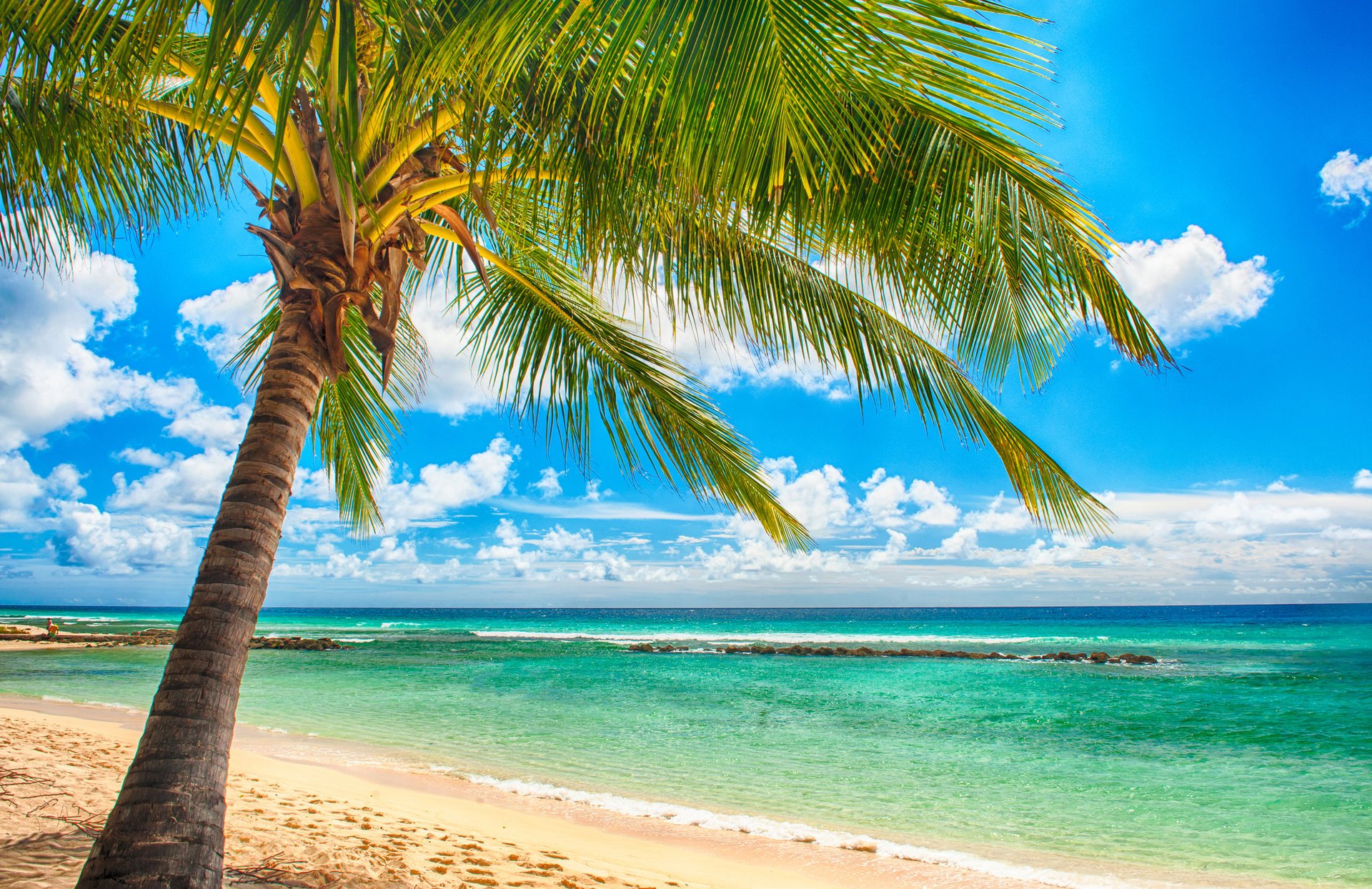 тропический рай пляж пальмы море океан солнце летом отдых тропики песок берег