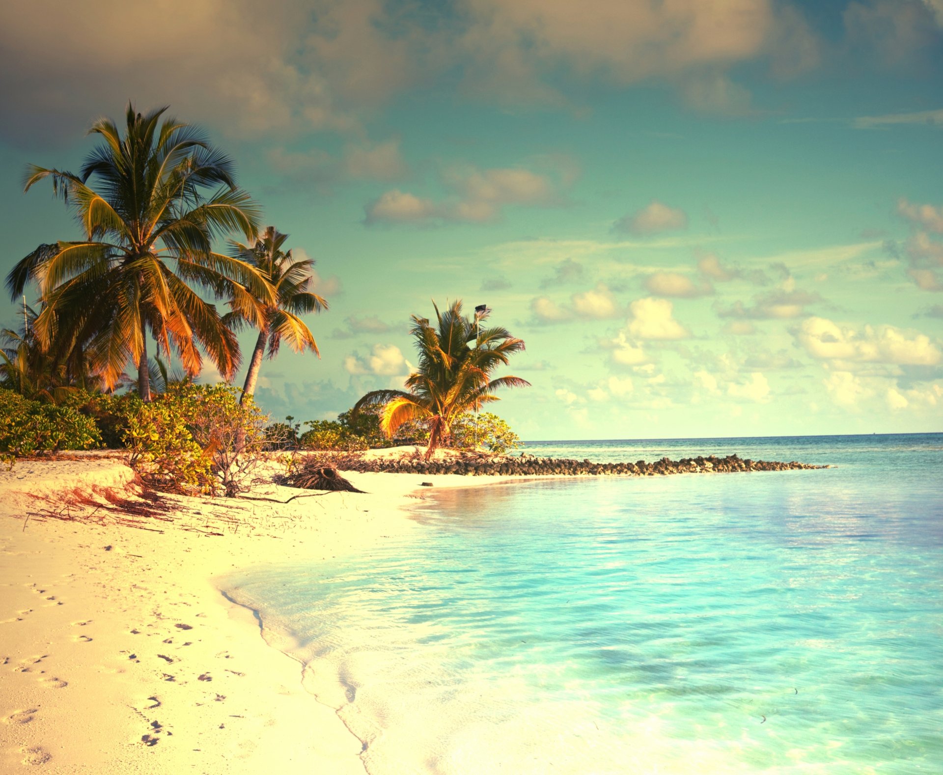 тропический рай пляж пальмы море океан солнце летом отдых тропики песок берег