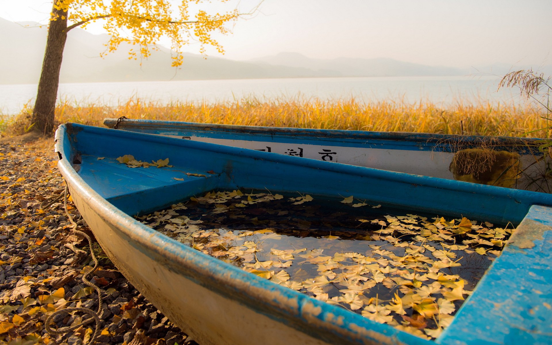 лодка в золотую осень скачать