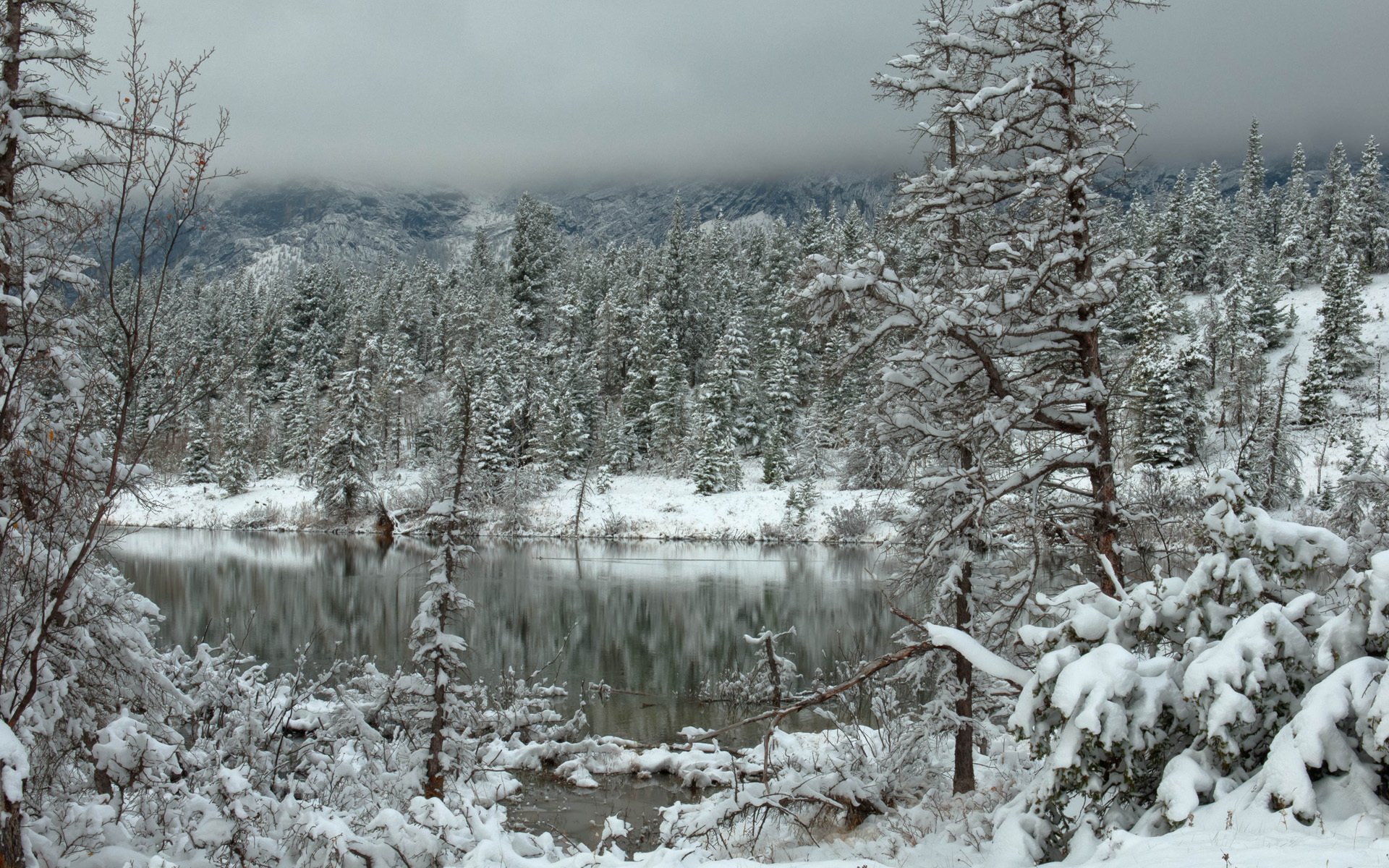 зима снег лес озеро облака горы