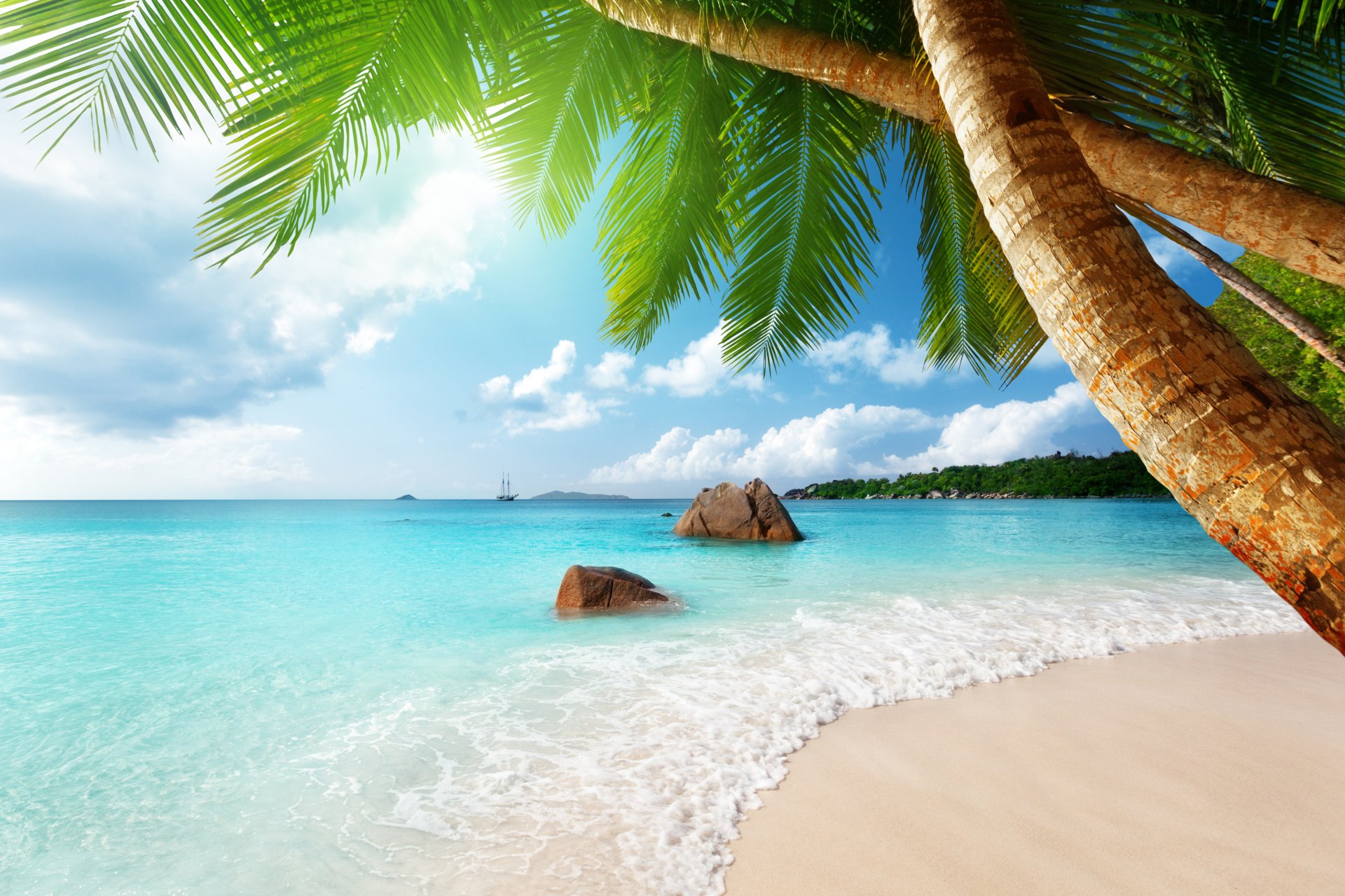 тропический рай пляж побережье море синий изумруд океан палм летом песок отдых тропики солнце остров берег пальмы