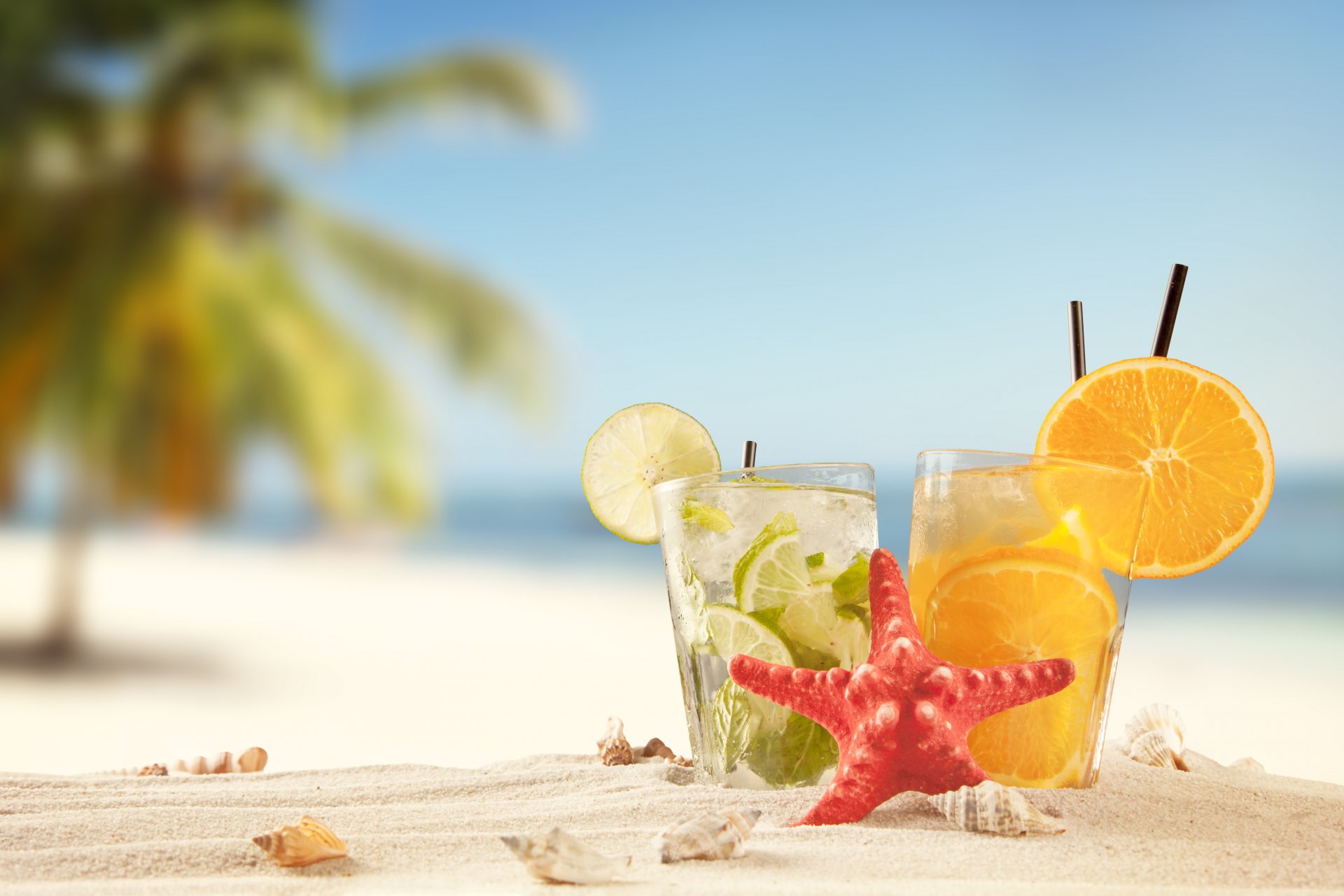 летом тропический отдых пляж пьют песок лето море солнце коктейли ракушки лайм апельсин