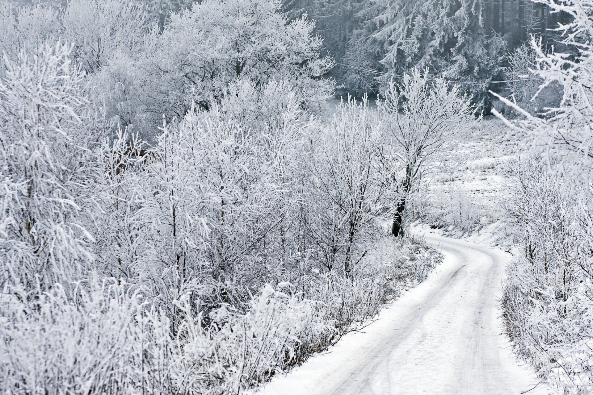варфоломей фото зимние снег дорога зима иней деревья время года