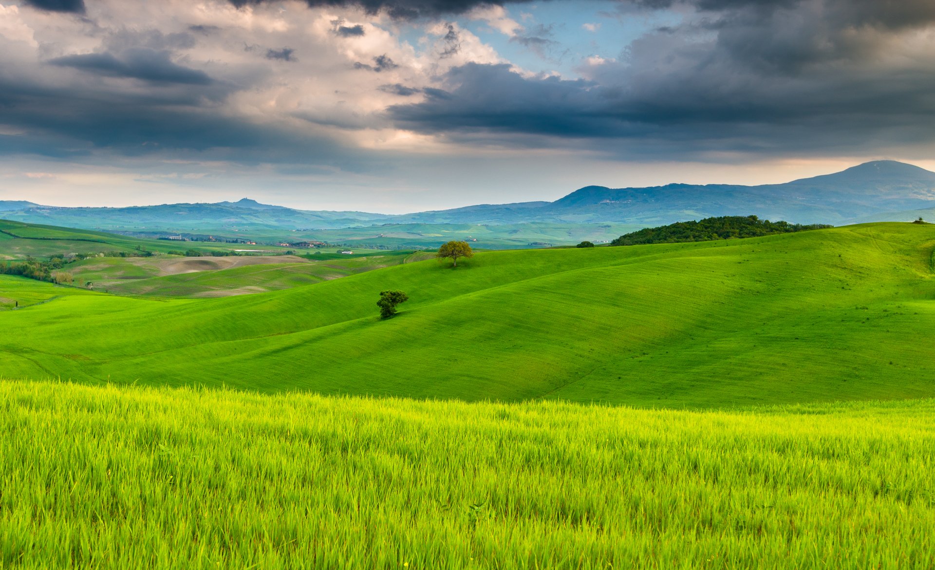 Поле холмы. Зеленое поле Тоскана. Тоскана Италия. Зеленые холмы 212525. Зеленые Луга Англии.