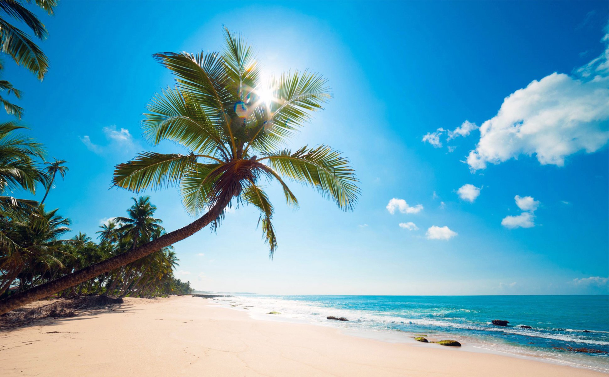 океан пальмы берег пляж тропики