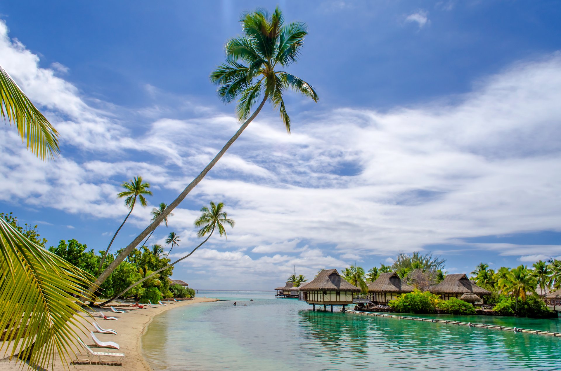 тропический рай пляж пальмы море океан солнце летом отдых изба домики тропики