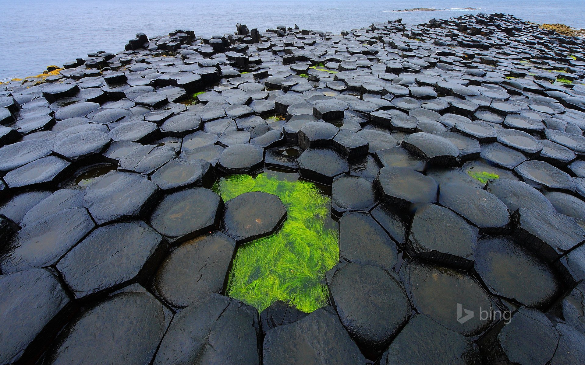 антрим северная ирландия гб дамба море водоросли
