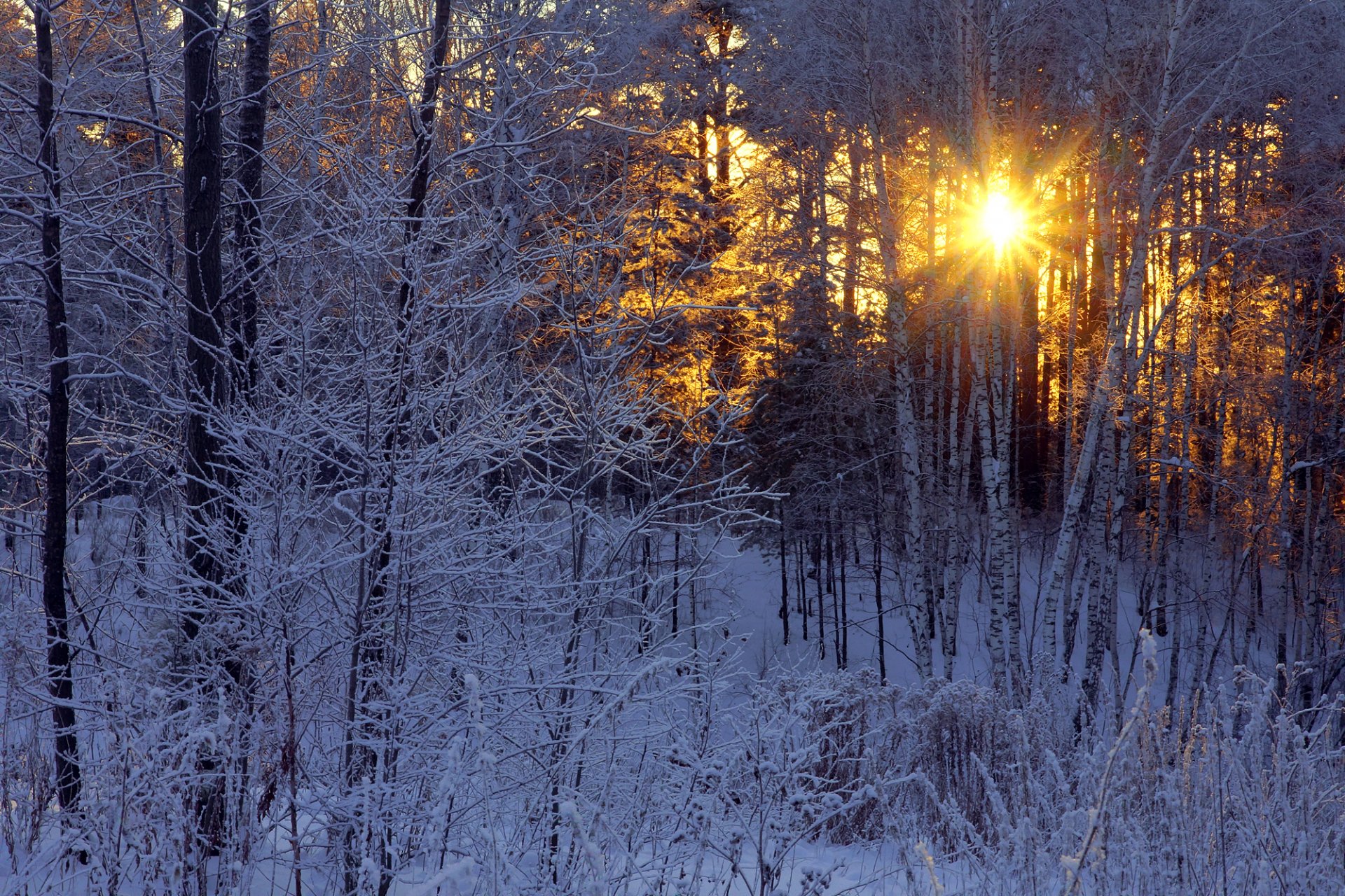 солнце сквозь зимнее небо скачать