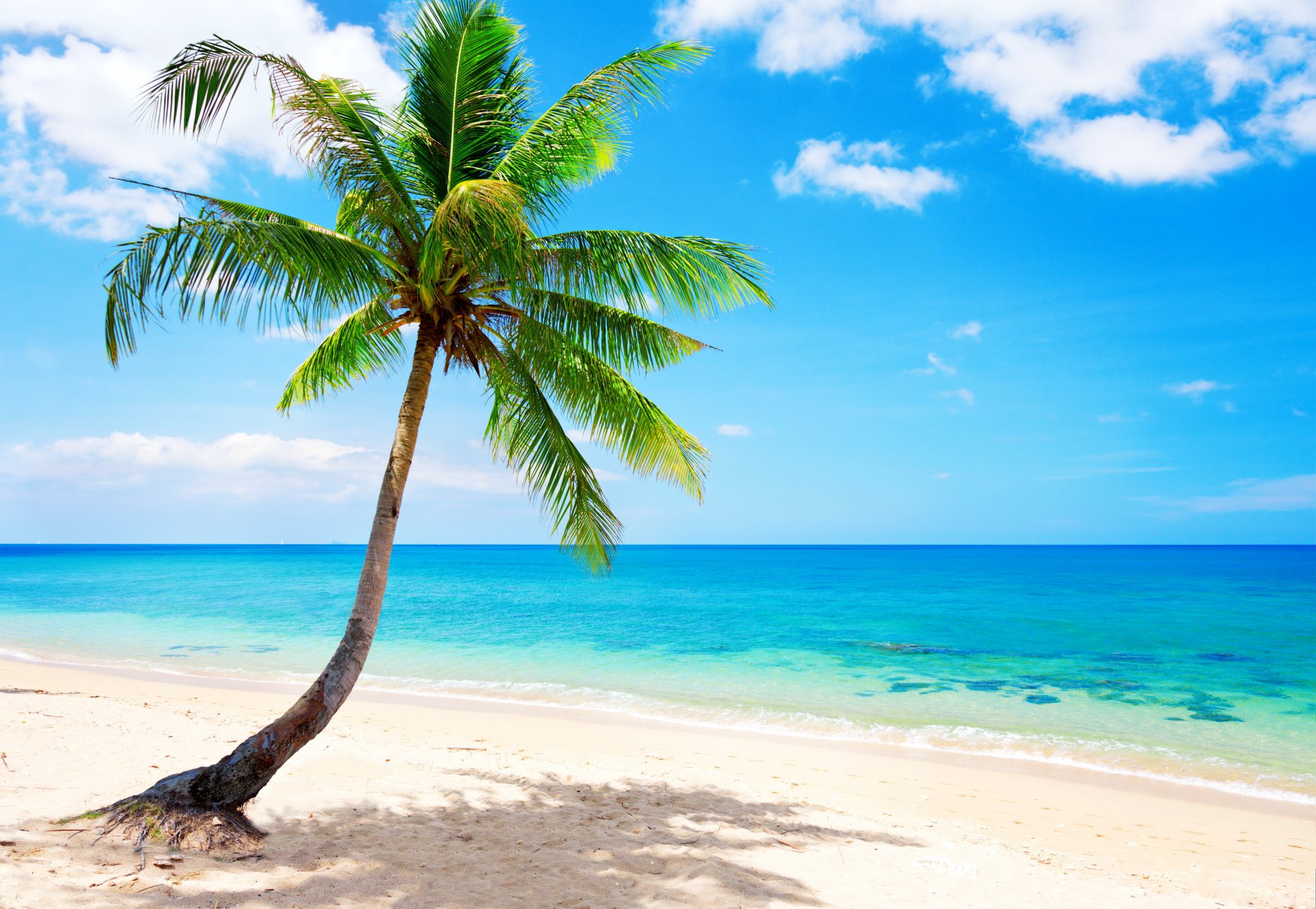 foto-devushek-na-tropicheskom-poberezhe-erotika