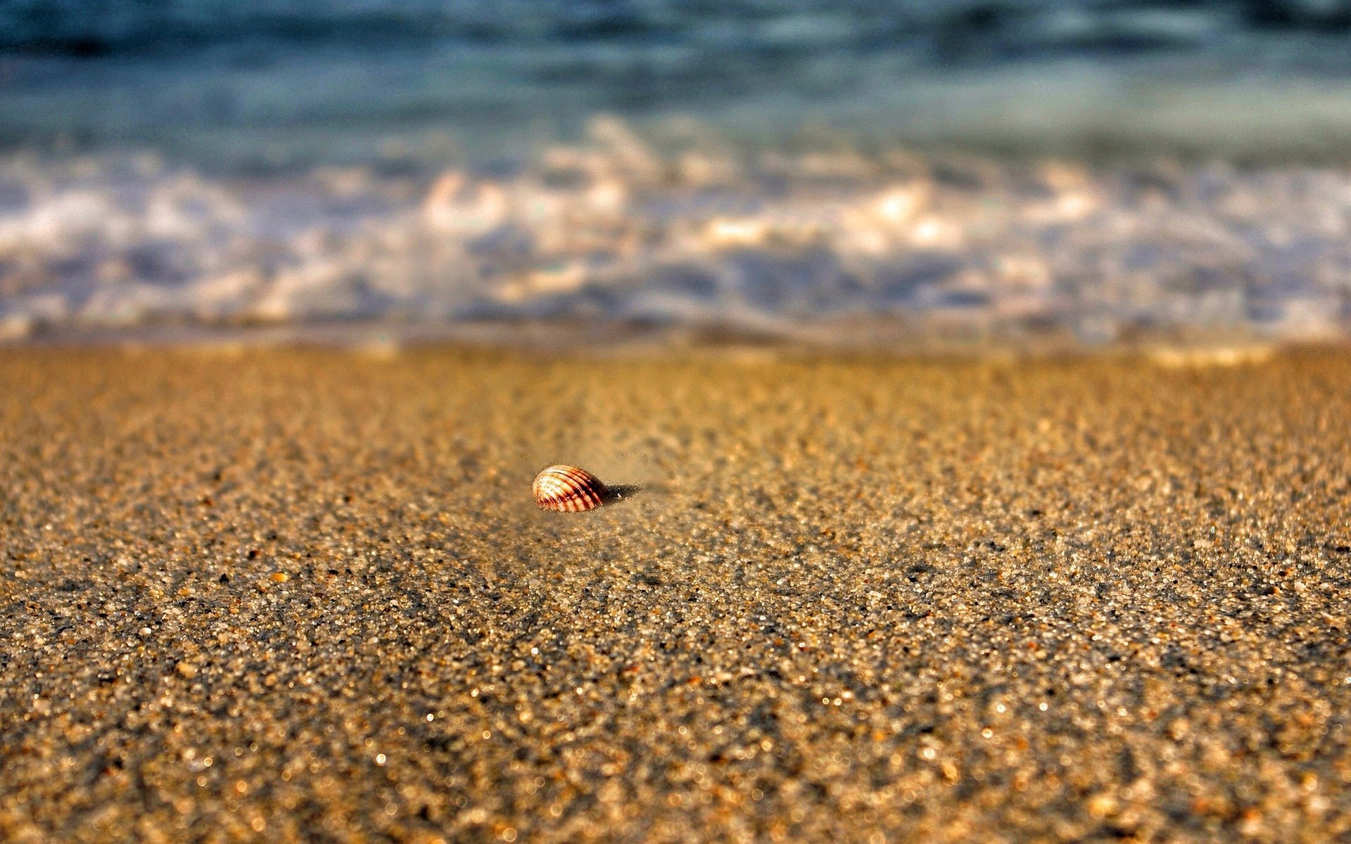Маленькая песчинка. Море песок. Ракушки на пляже. Пляж море песок. Морской песок.