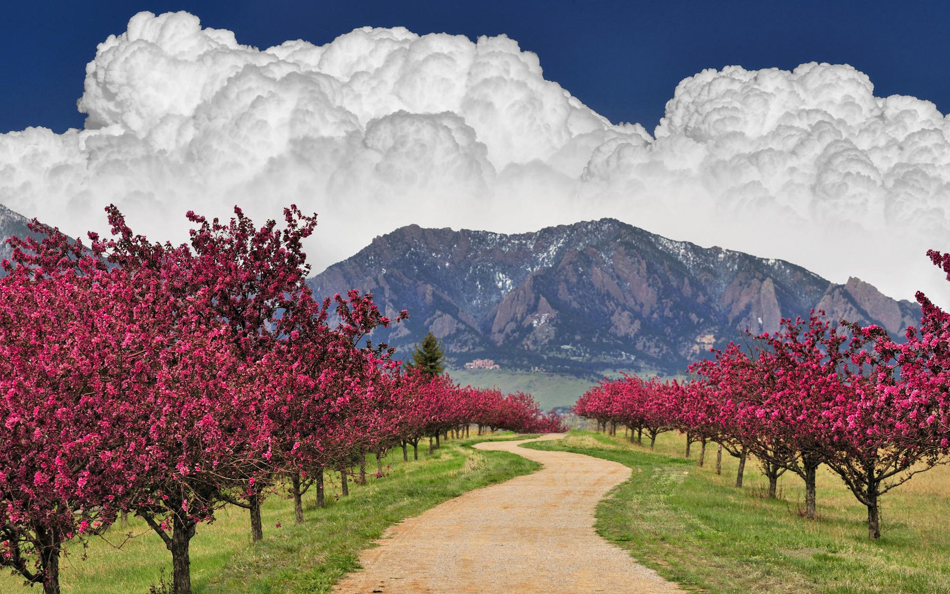 весна горы природа цветы небо облака скачать