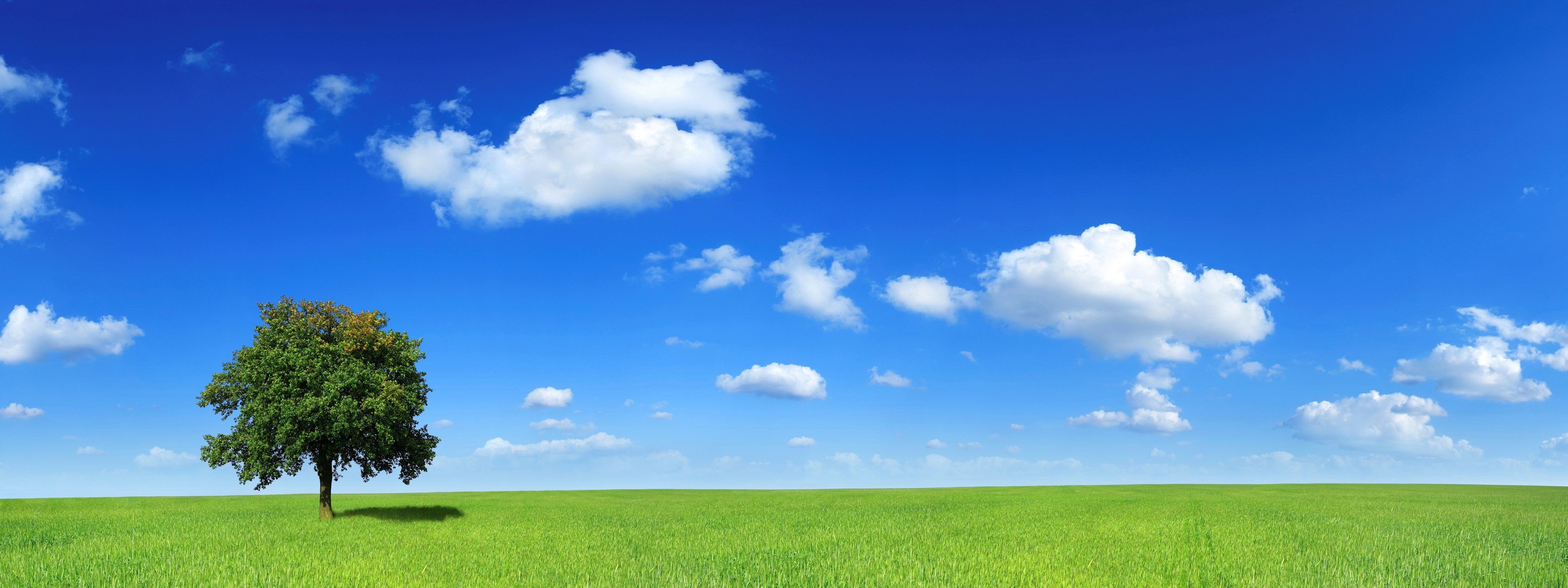 природа поле пейзаж небо облака бесплатно