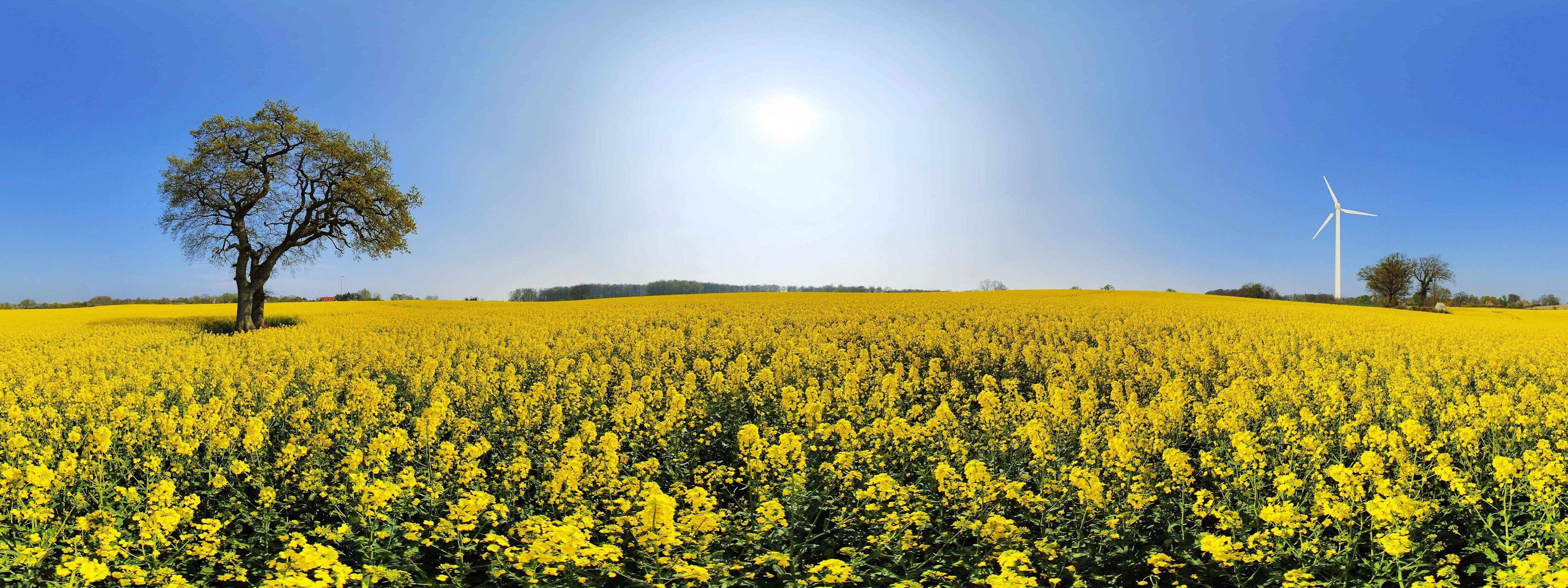 Ветряк - картинки