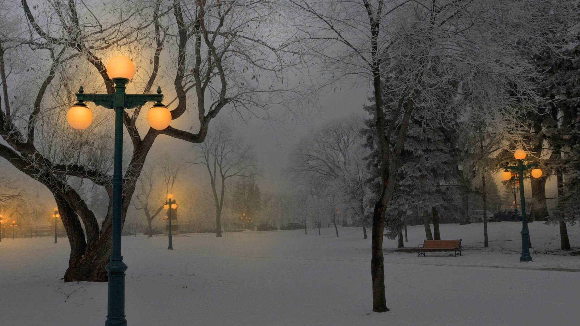 свет от фонарей в зиму скачать