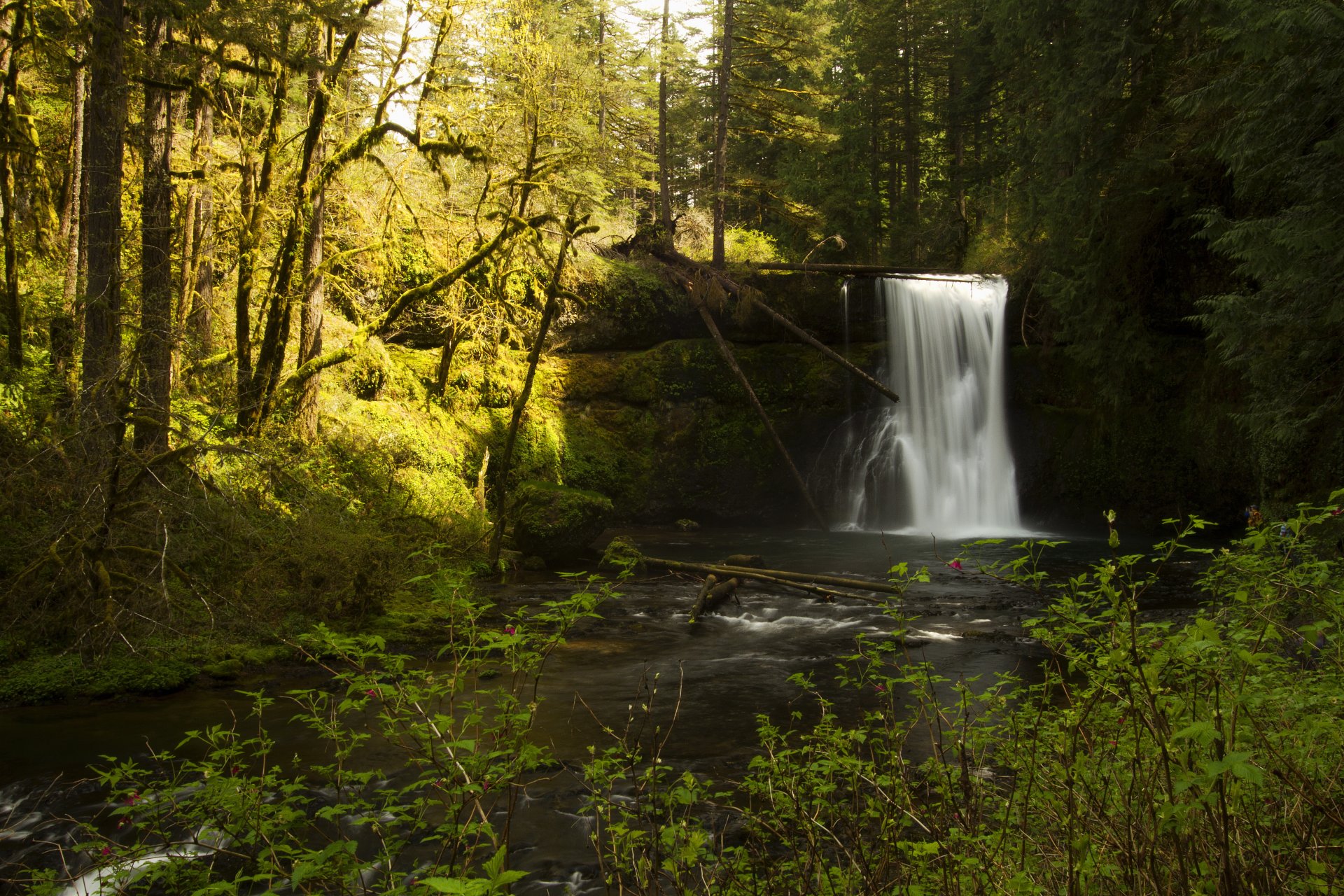 Hd Oboi Dlya Telefona Ssha Silverfalls Gosudarstvennyj Park Oregon Les Ruchej Vodopad Moh Kamni Derevya Solnce Kusty Vetki