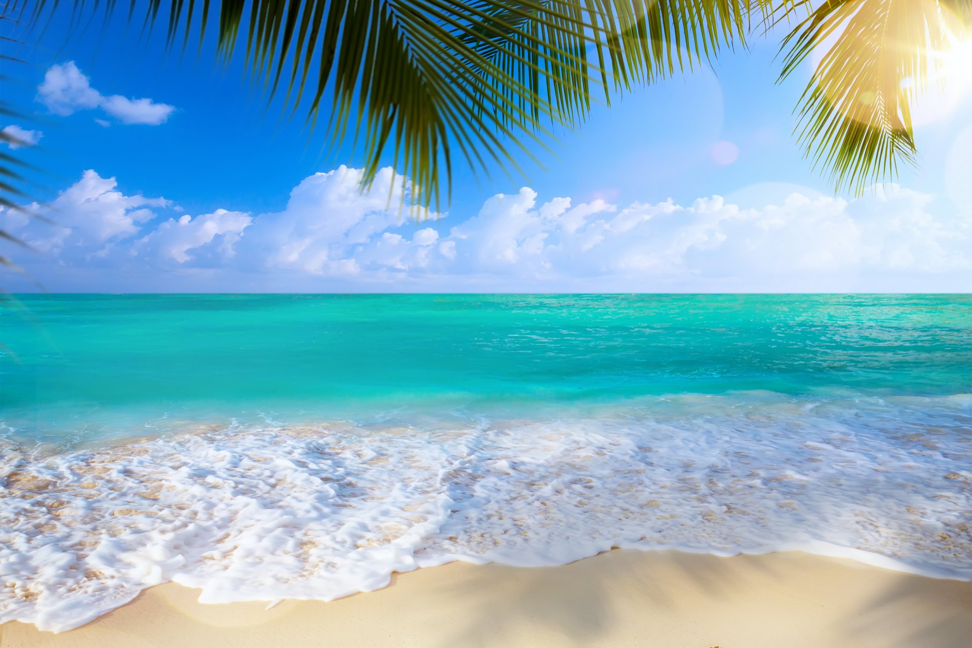 летом пляж море берег рай тропический песок пальмы HD обои для ноутбука