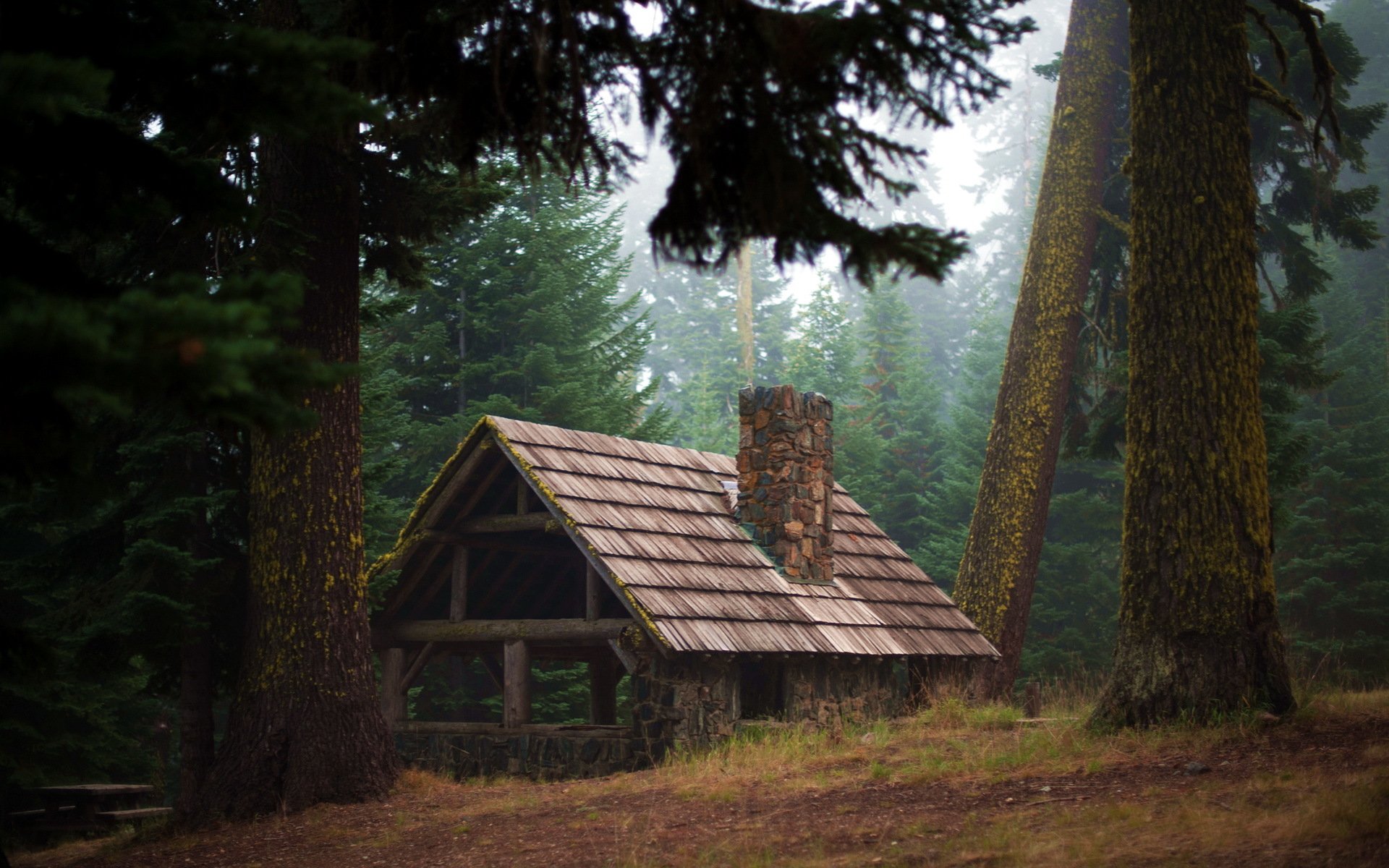 домик на лесной поляне бесплатно