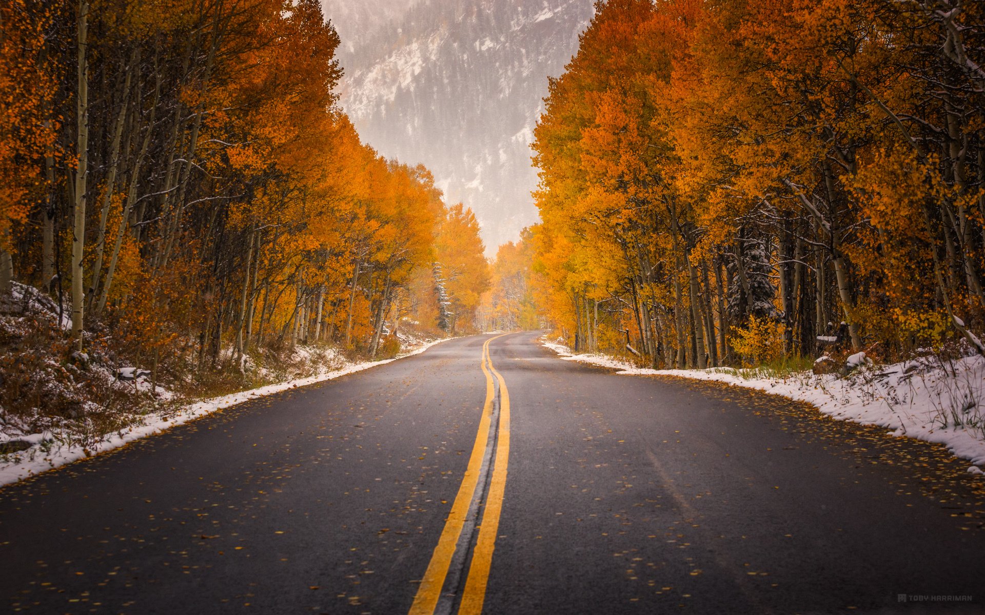 Дорога сквозь осень скачать