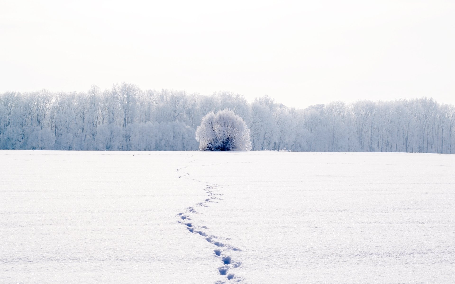 шаги по снегу без смс