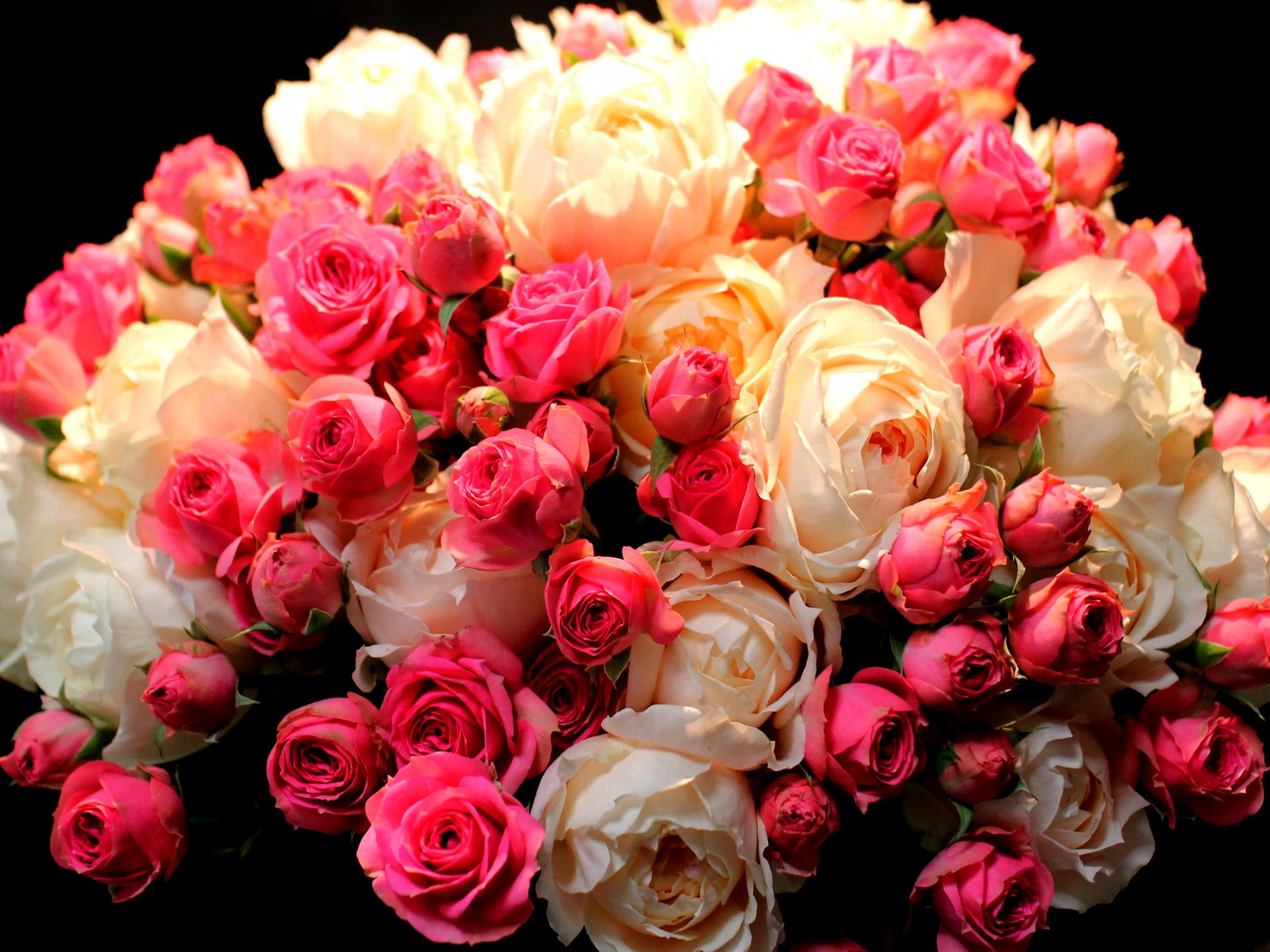 Цветы Букет Роз Фото