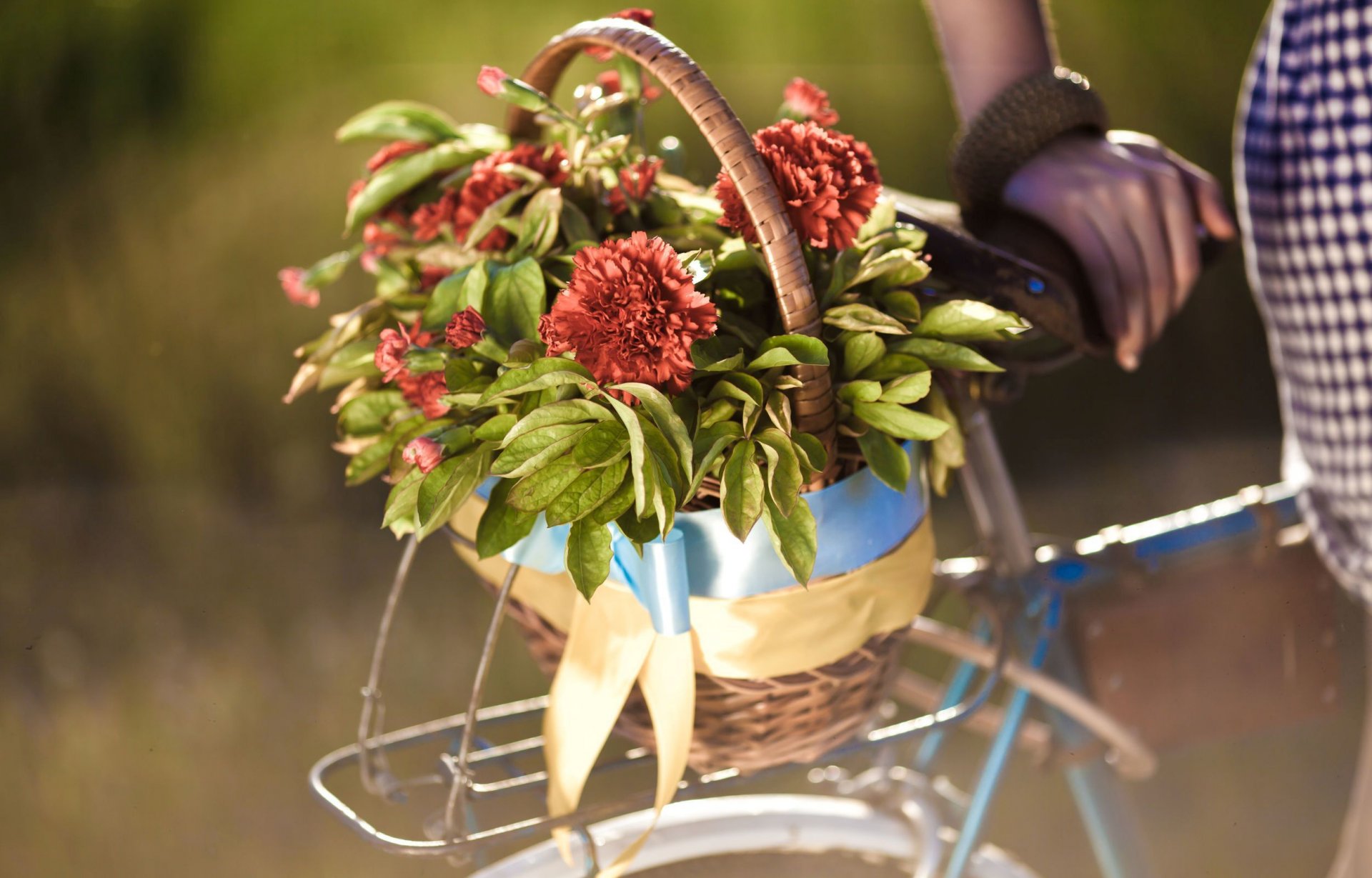 Велосипед с корзинкой цветов загрузить