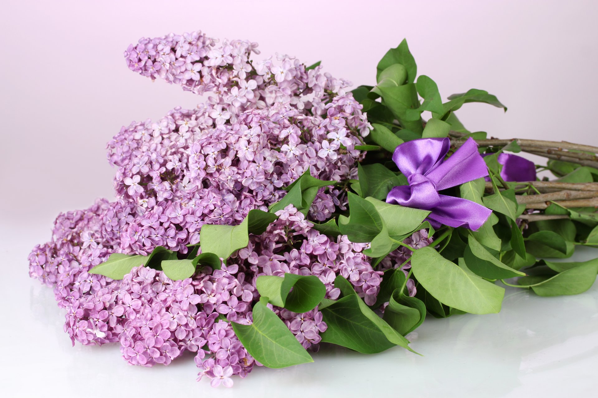 Поздравлениями рождения, открытка красивая сирень