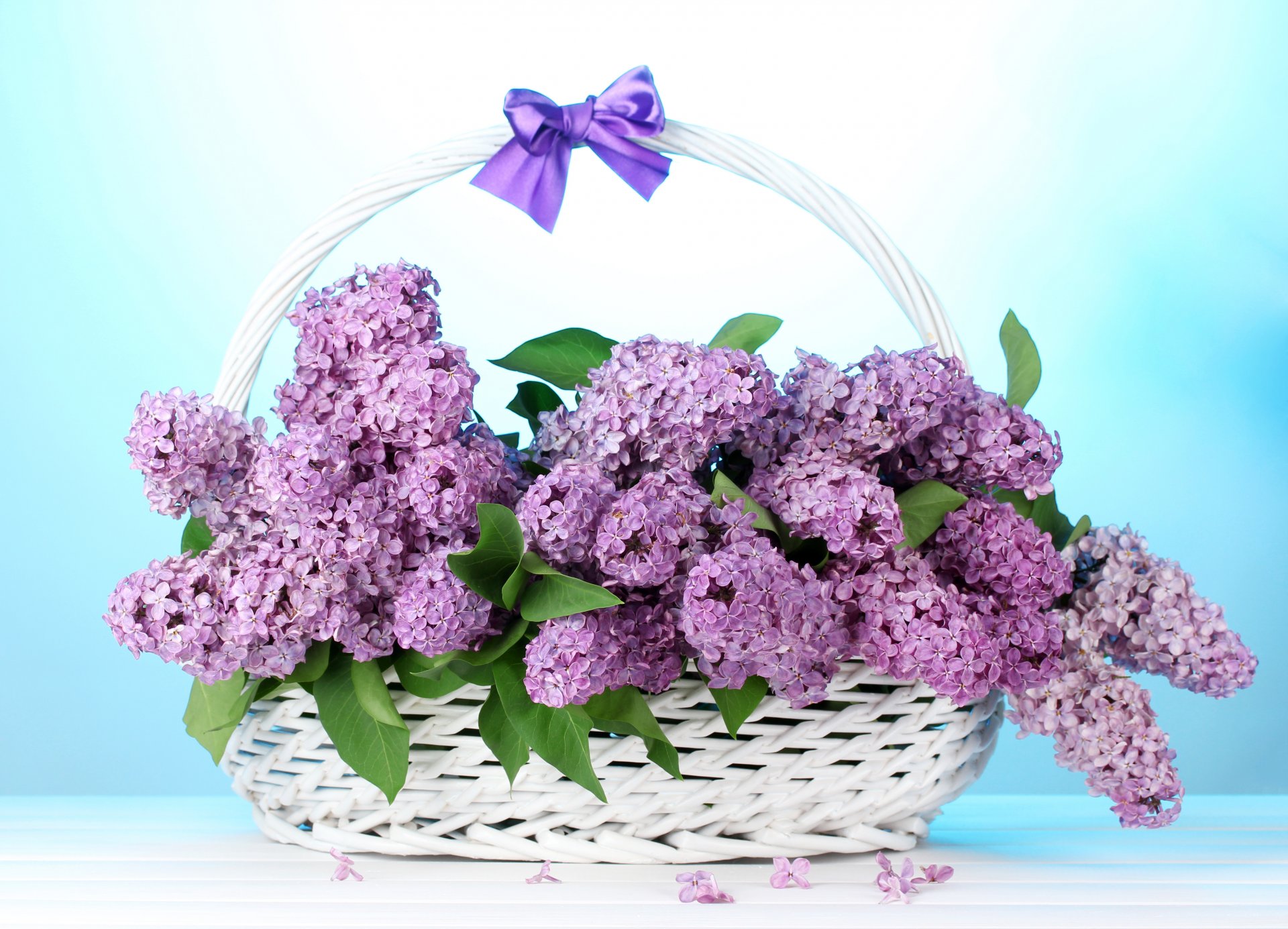 Картинки цветочки открытки, для
