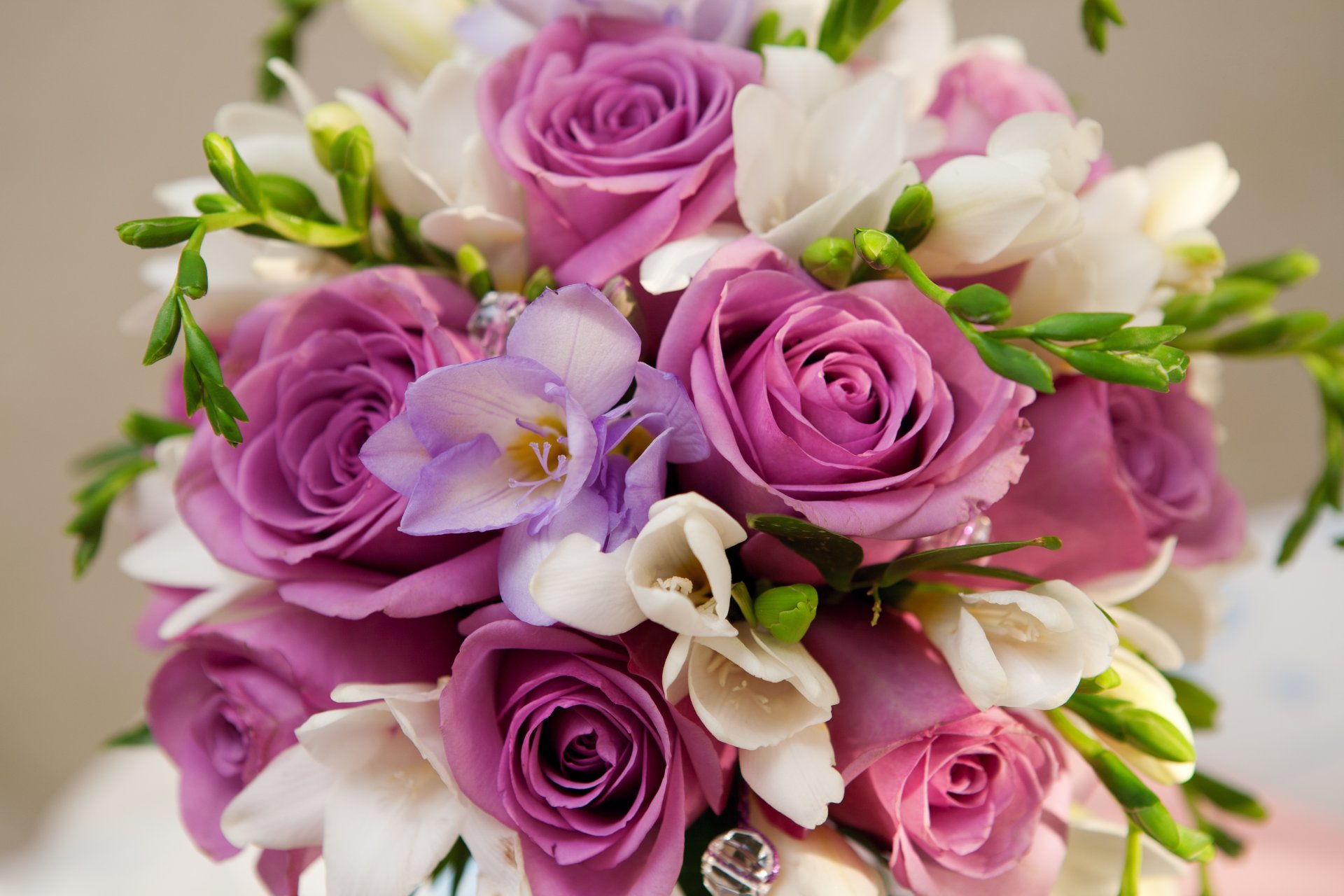 фиолетовые цветы розы букет фиолетовый цветы