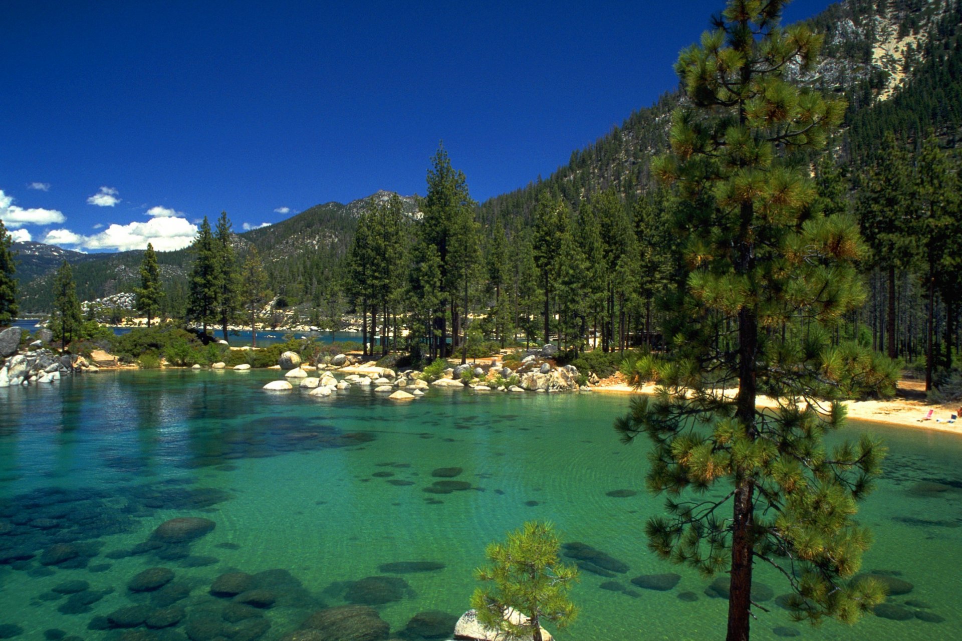 Обои с тегом:озеро, камни, лес, lake tahoe, калифорния.