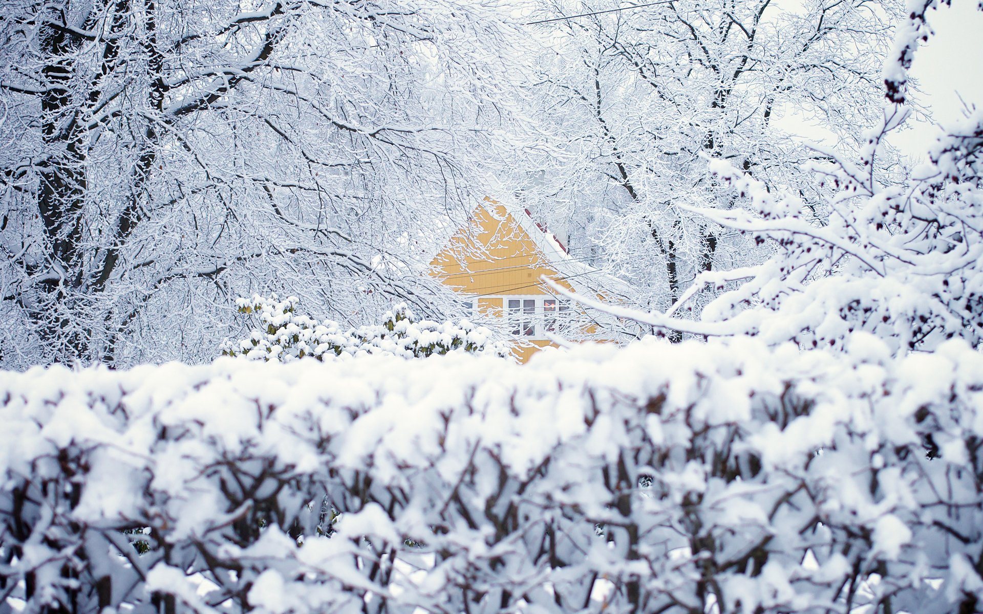 Снегом укрыты дома